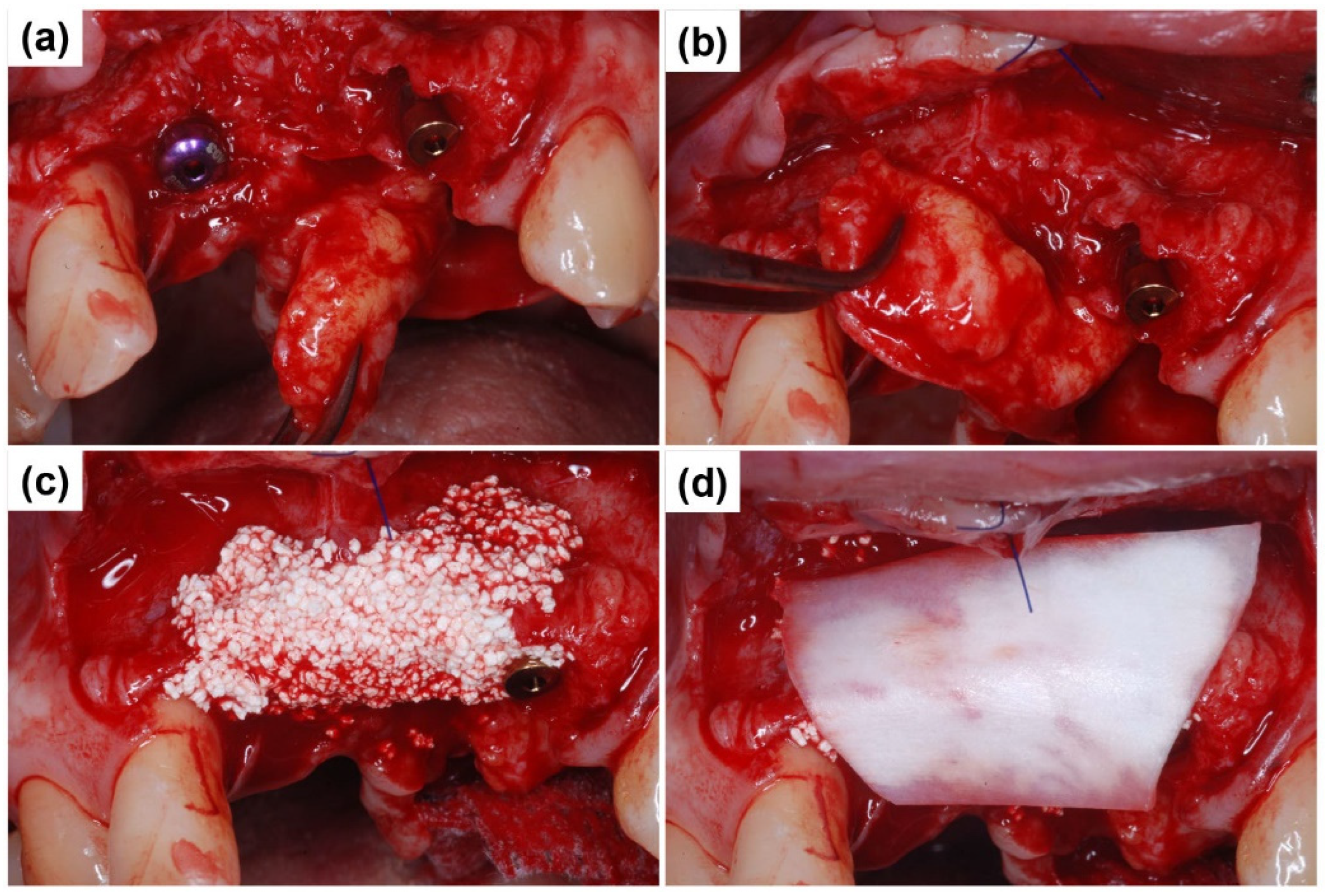 Preprints 155088 g006