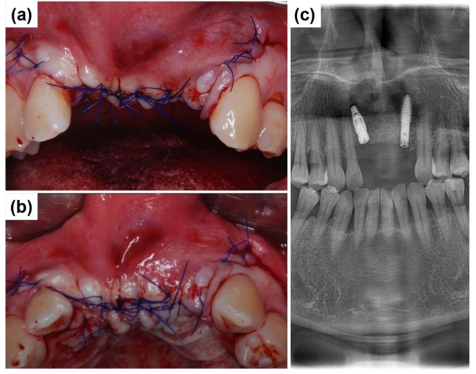 Preprints 155088 g007