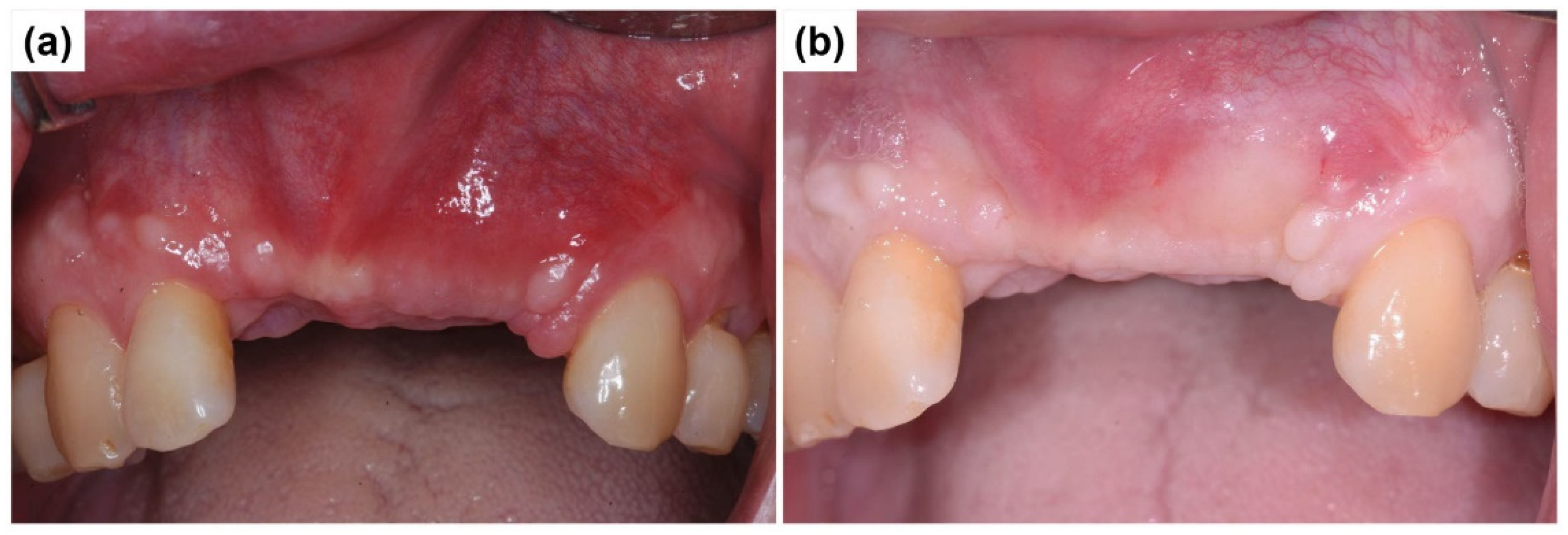 Preprints 155088 g008
