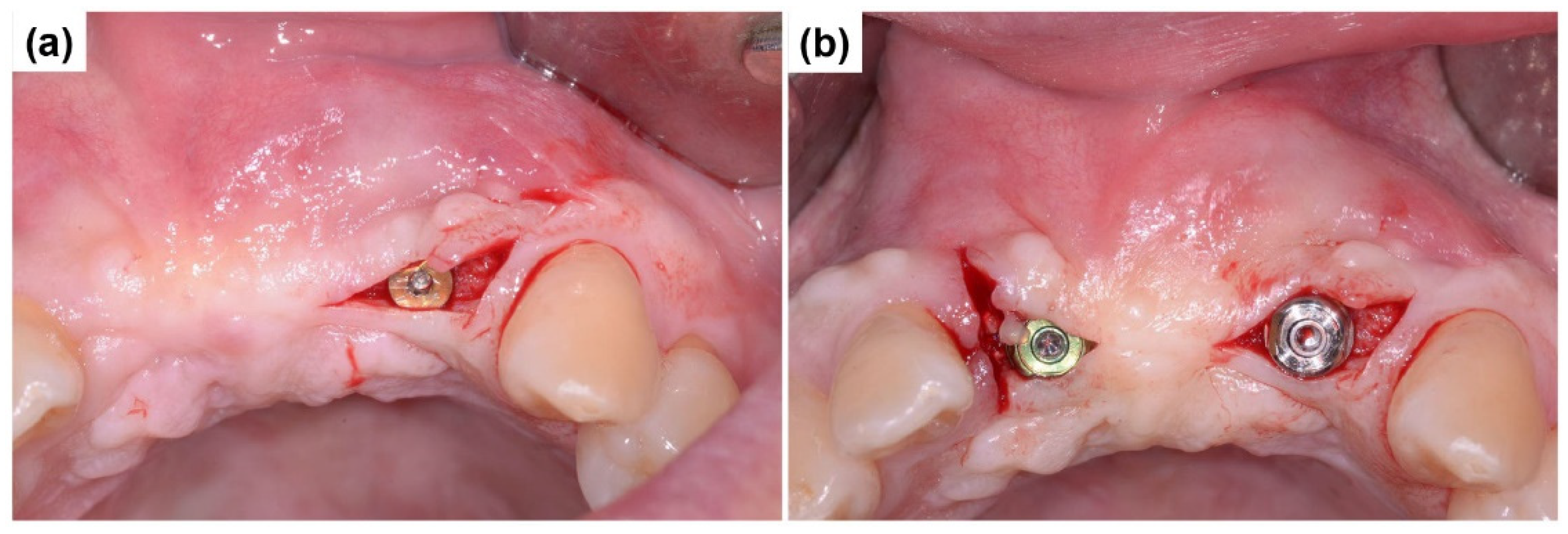Preprints 155088 g009