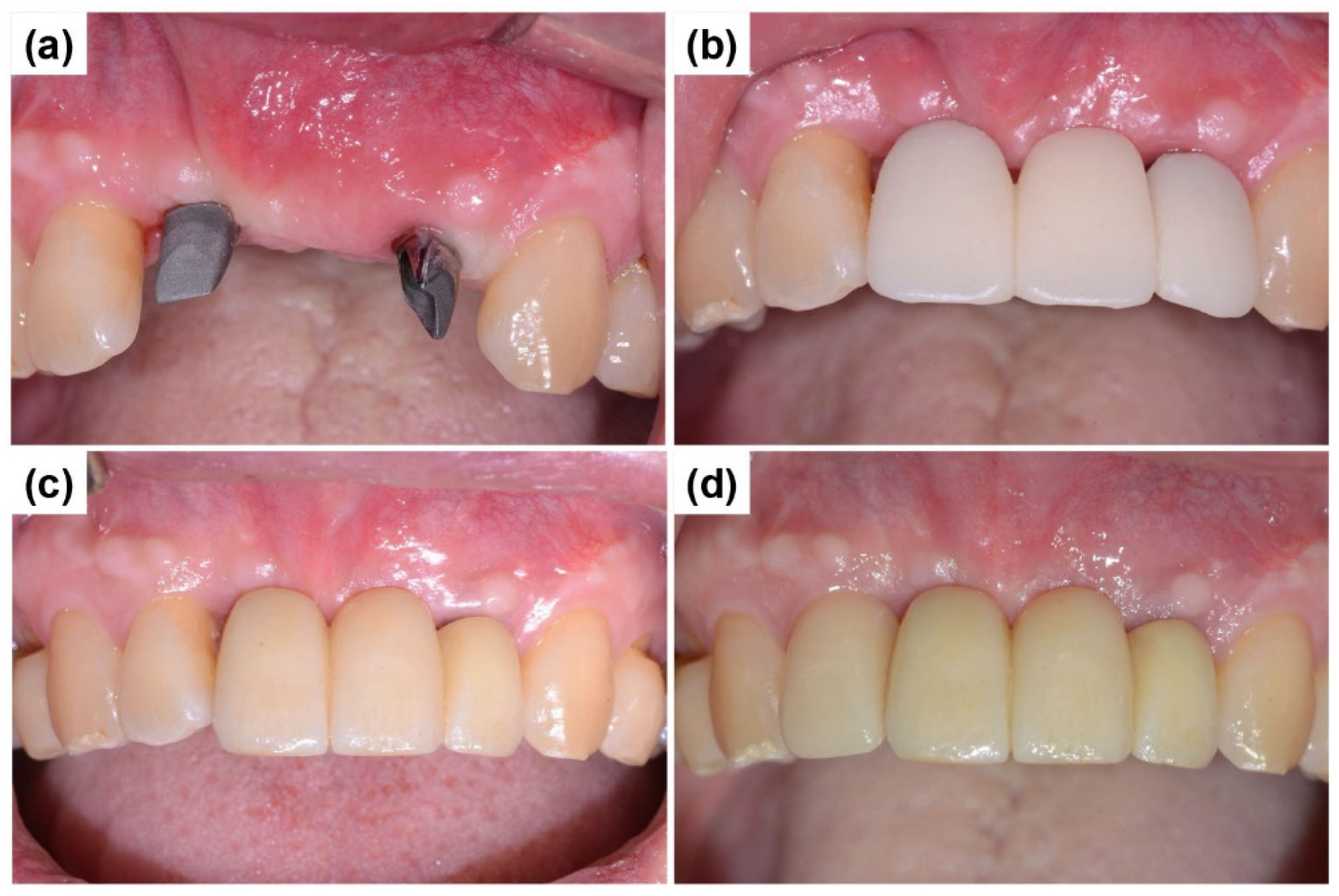 Preprints 155088 g010