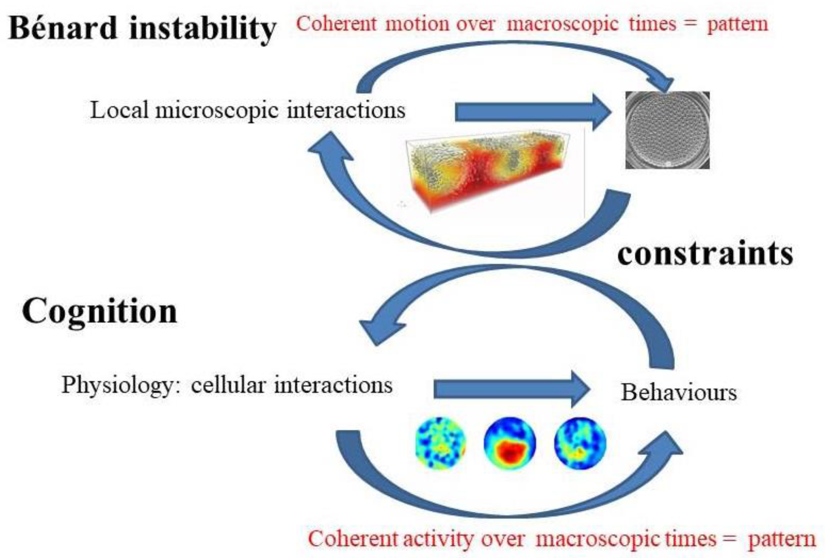 Preprints 69469 g002