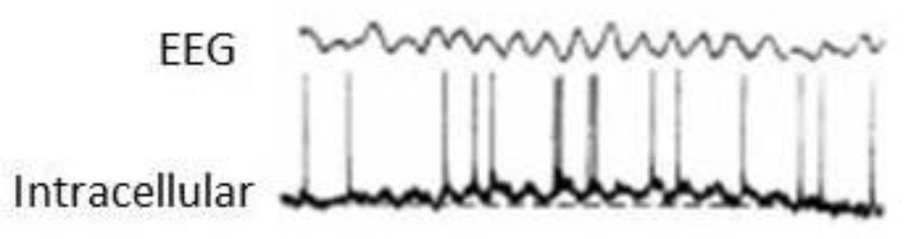 Preprints 69469 g003