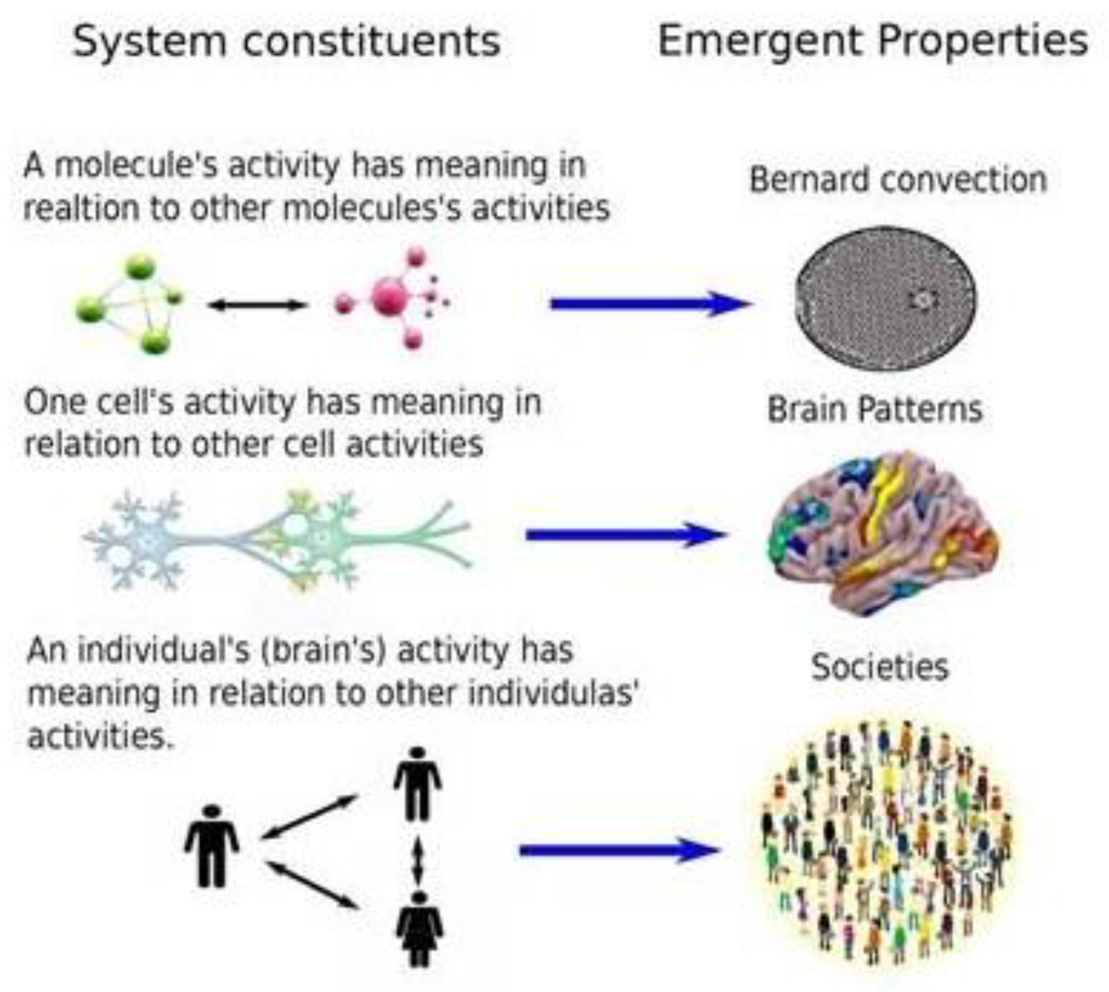 Preprints 69469 g005