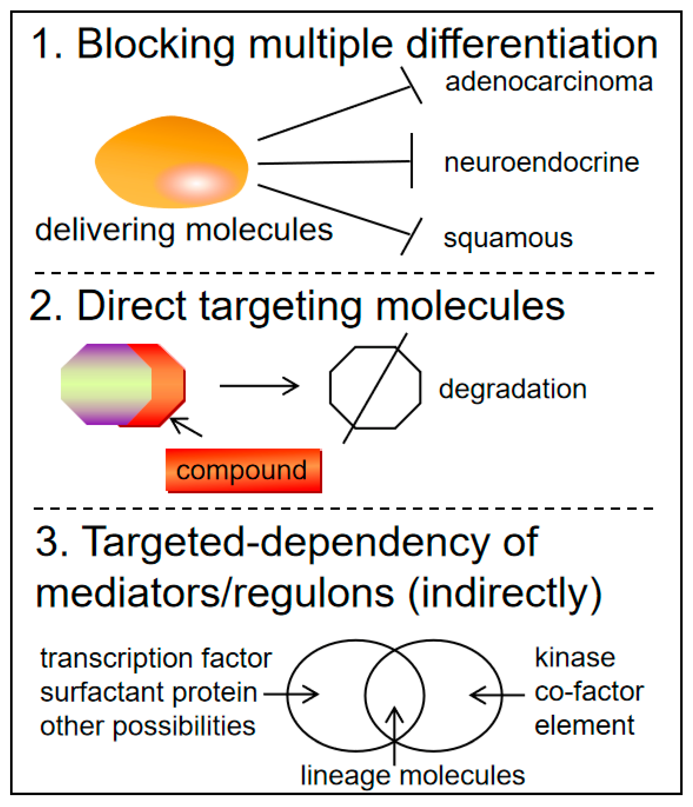 Preprints 144480 g002