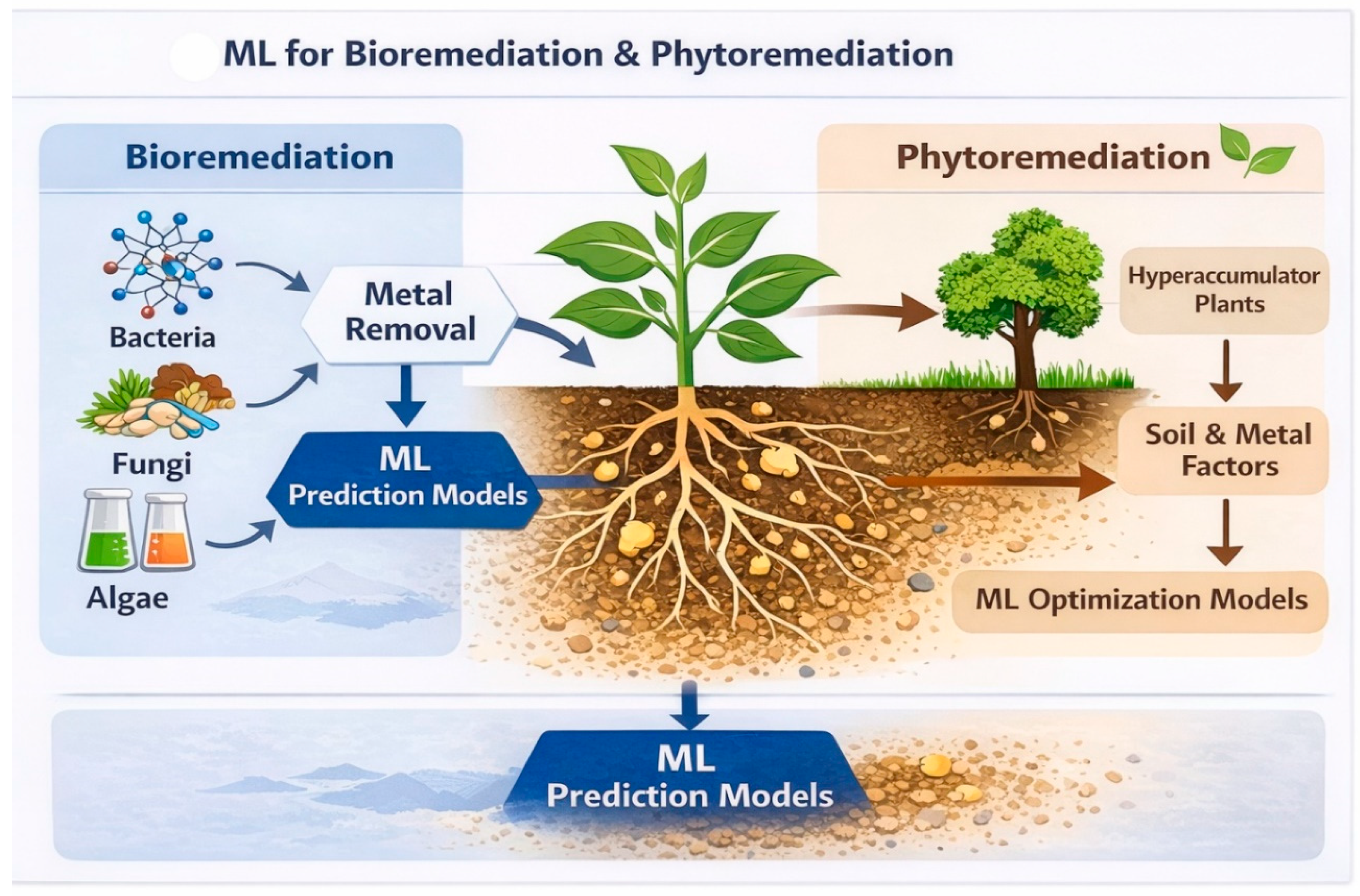 Preprints 199653 g002