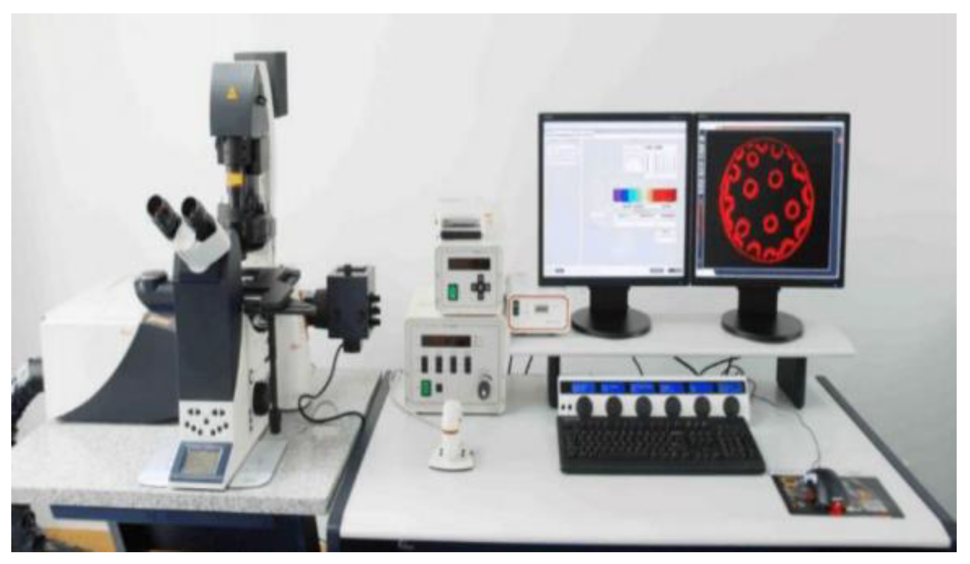 Preprints 156936 g002