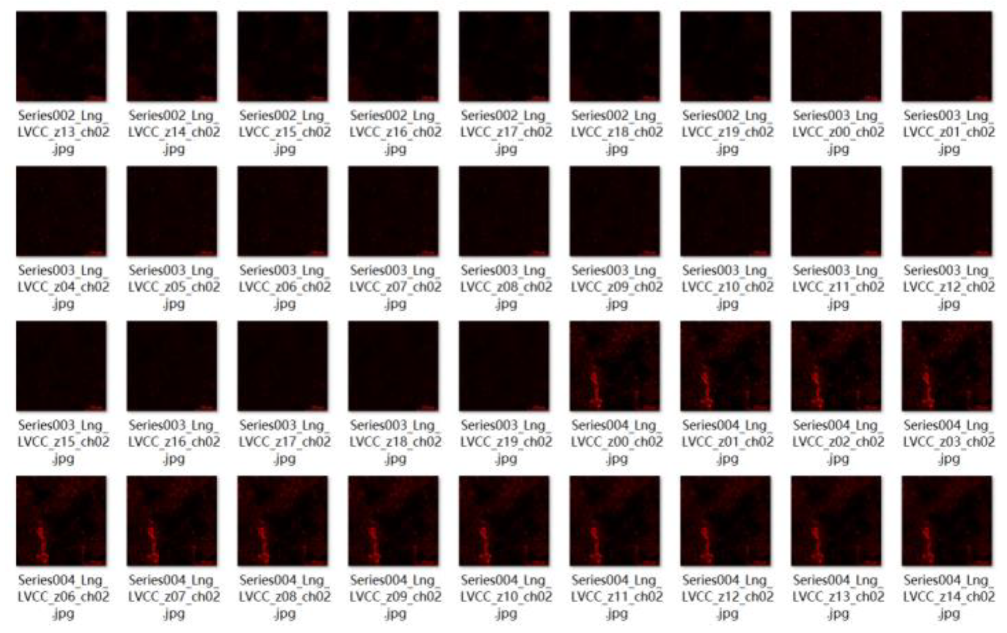 Preprints 156936 g005