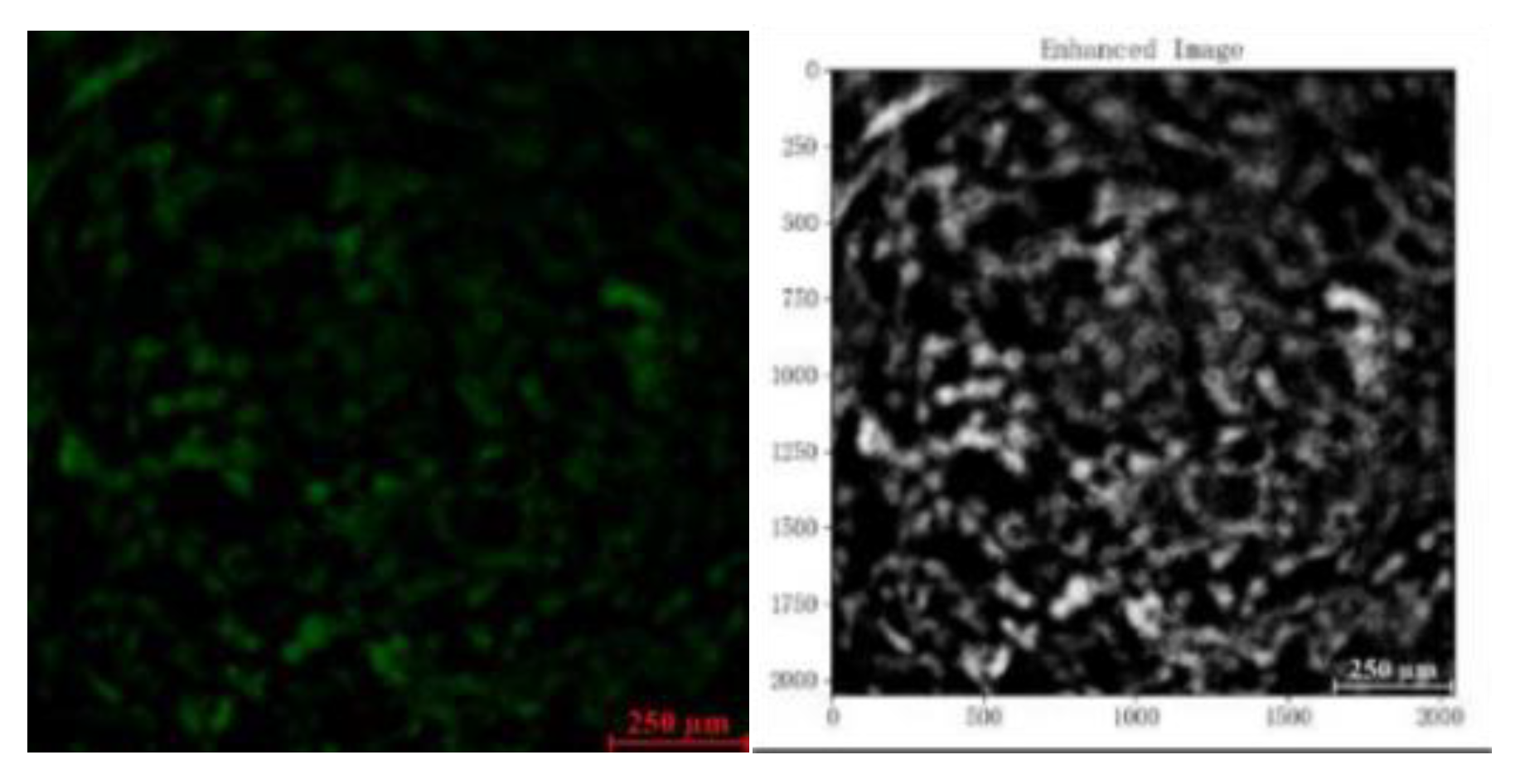 Preprints 156936 g008