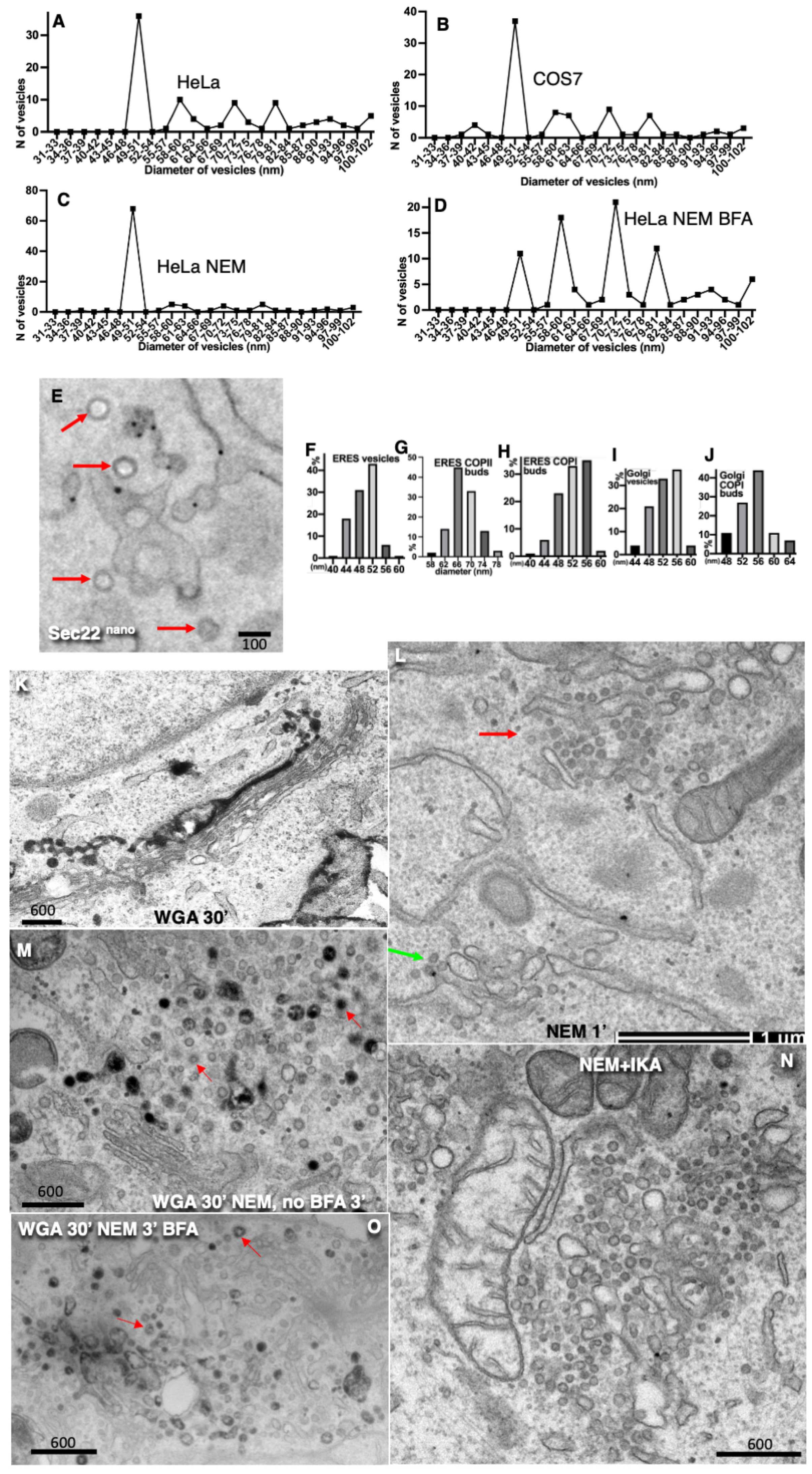 Preprints 181284 g002