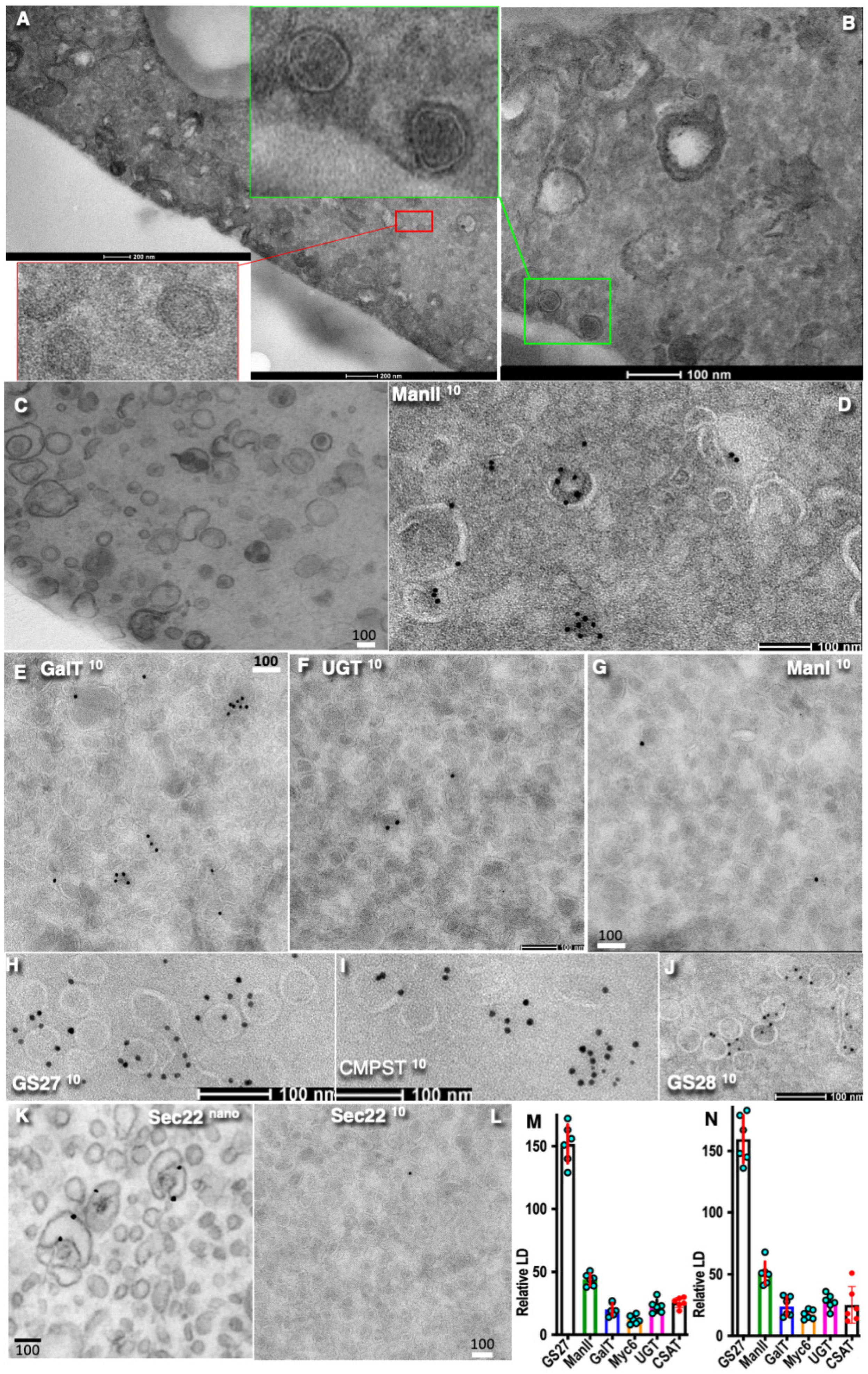 Preprints 181284 g004