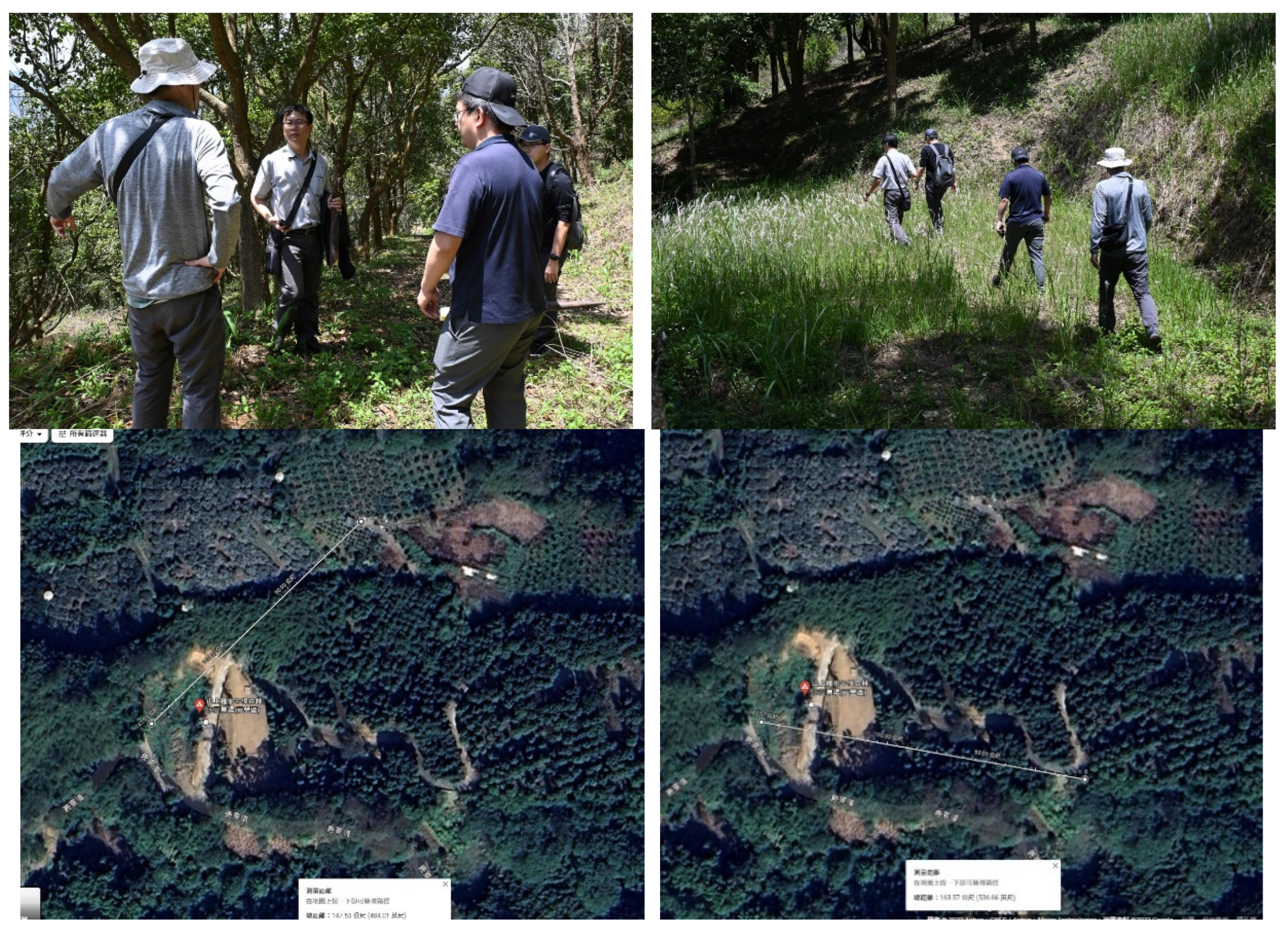 Preprints 185758 g001