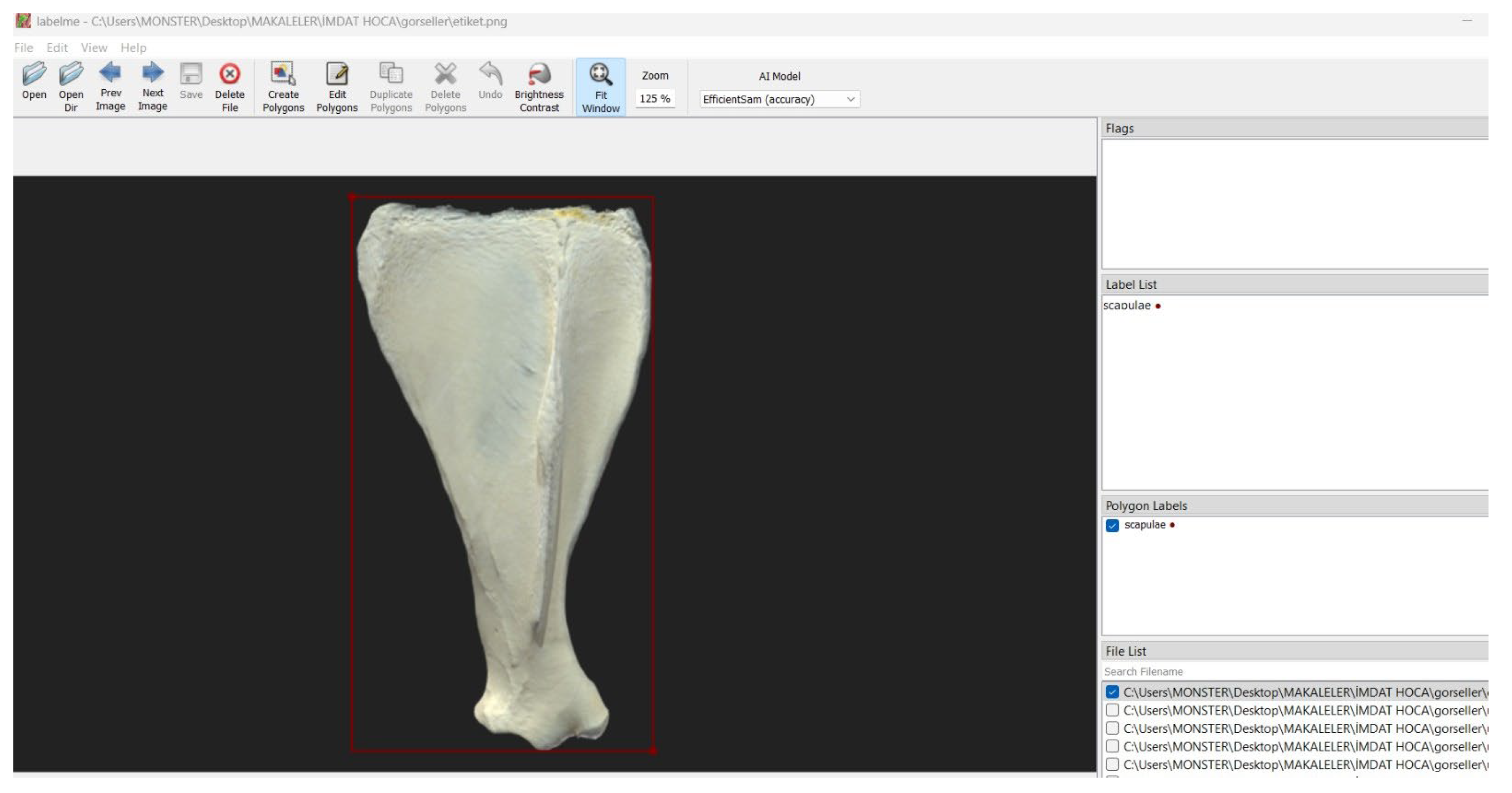 Preprints 164387 g001