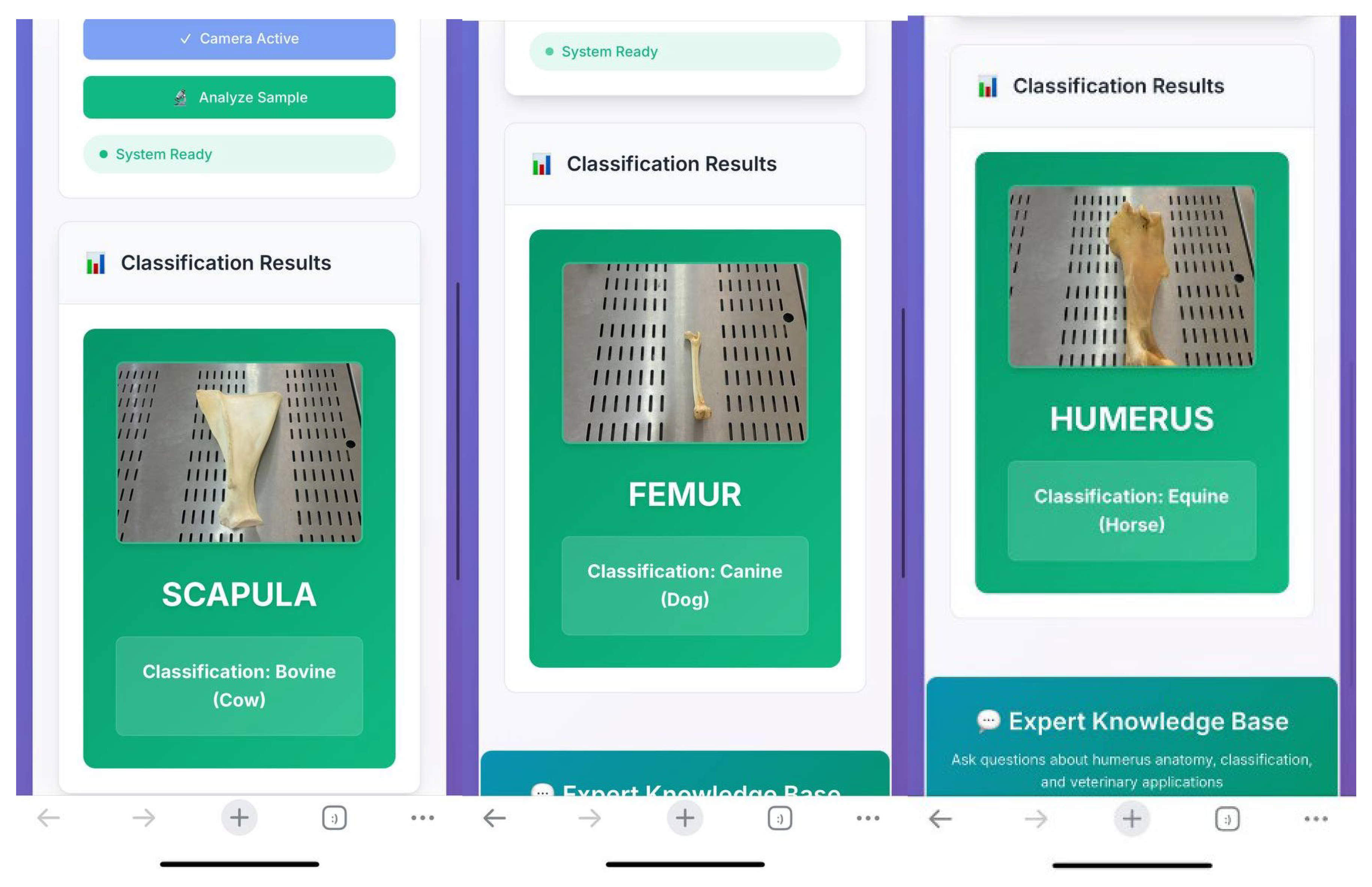 Preprints 164387 g003
