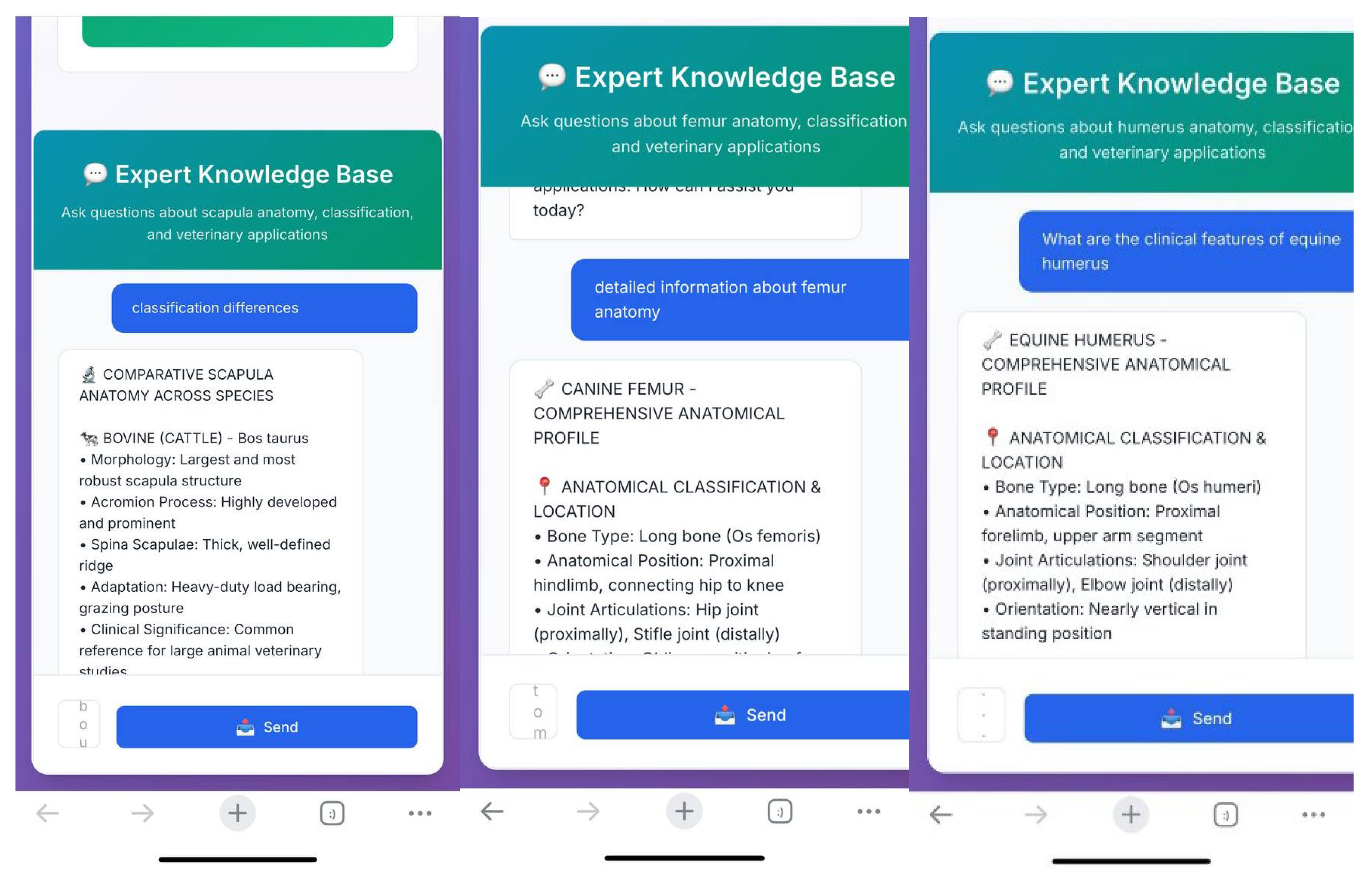 Preprints 164387 g004
