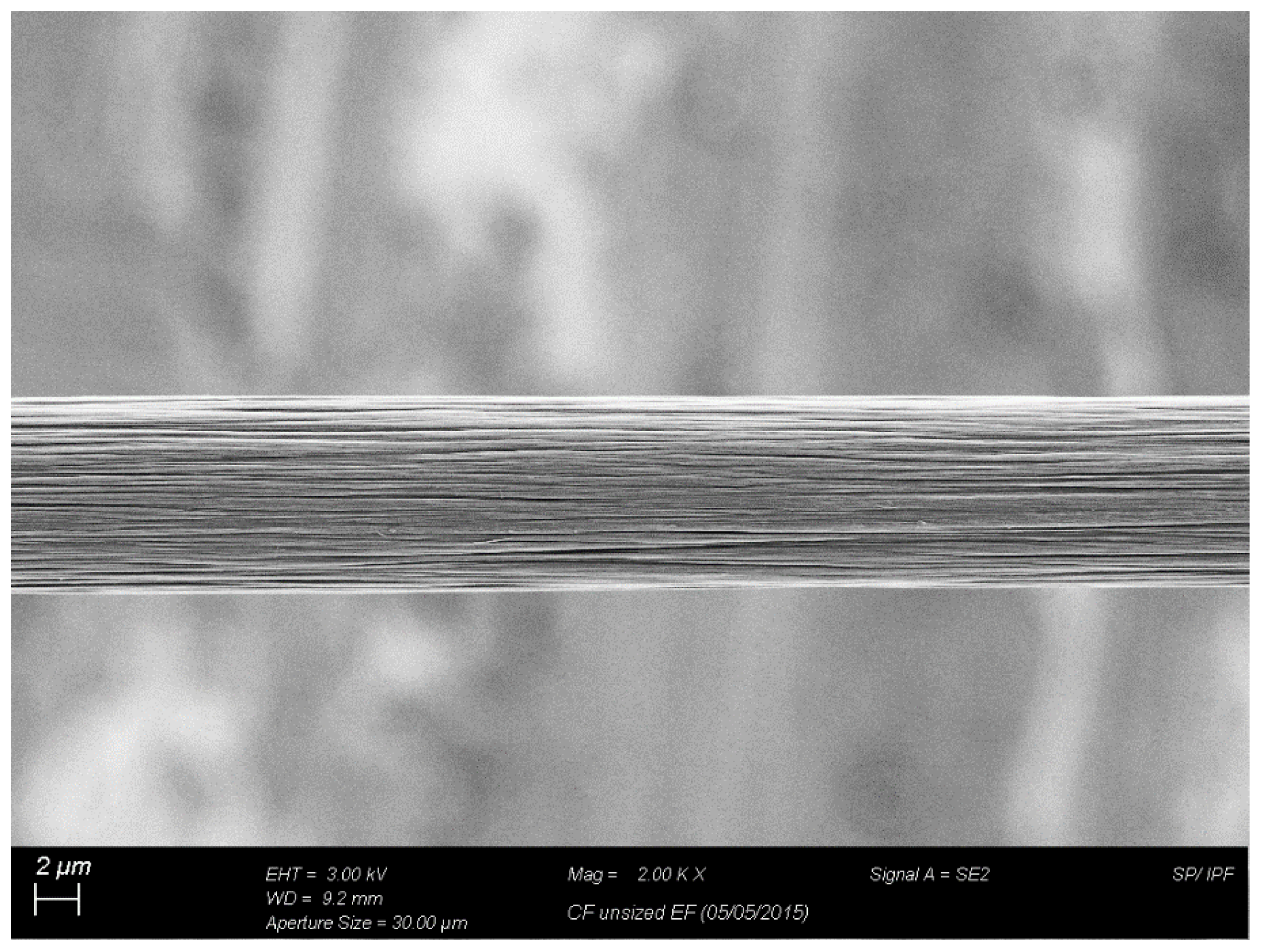 Preprints 81355 g001