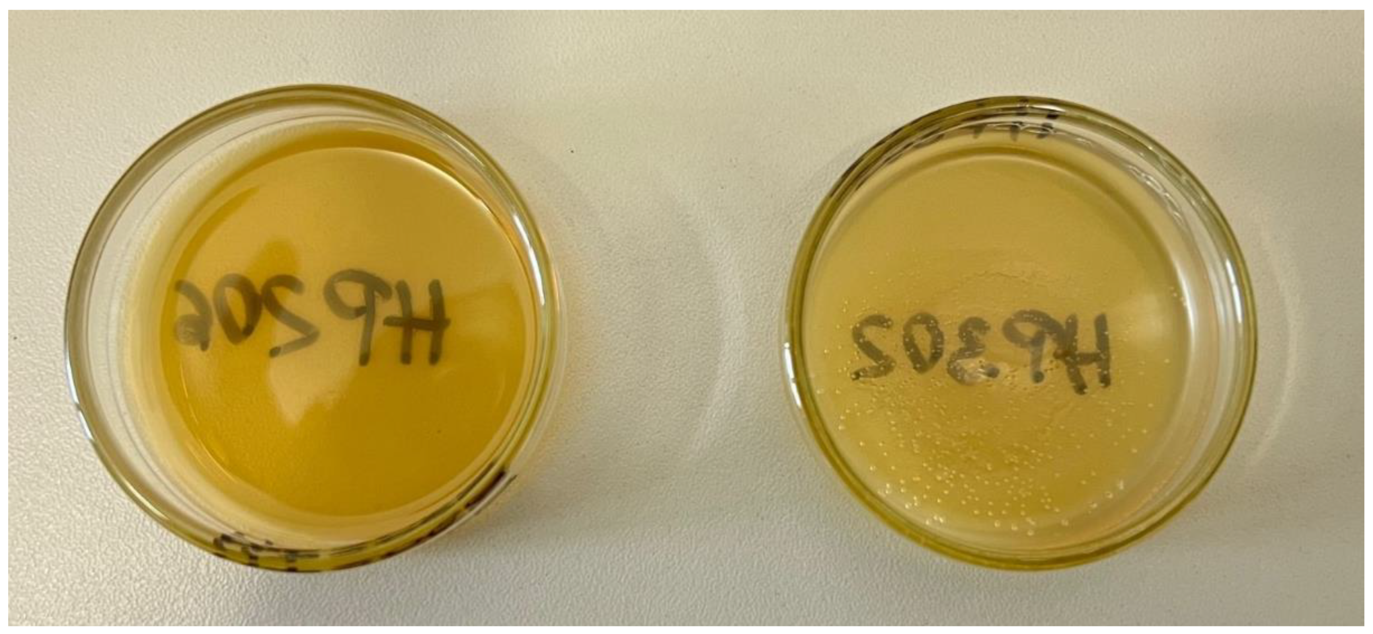 Preprints 81355 g003