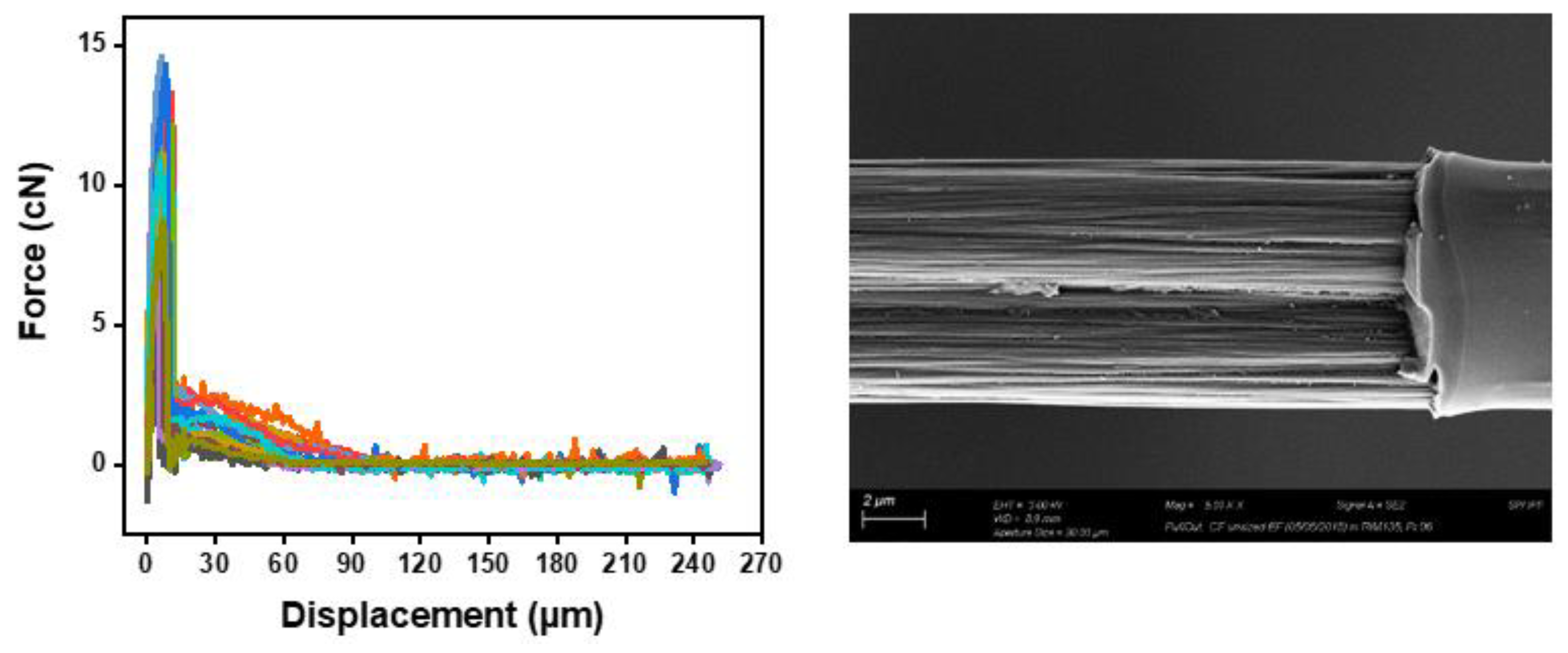 Preprints 81355 g012
