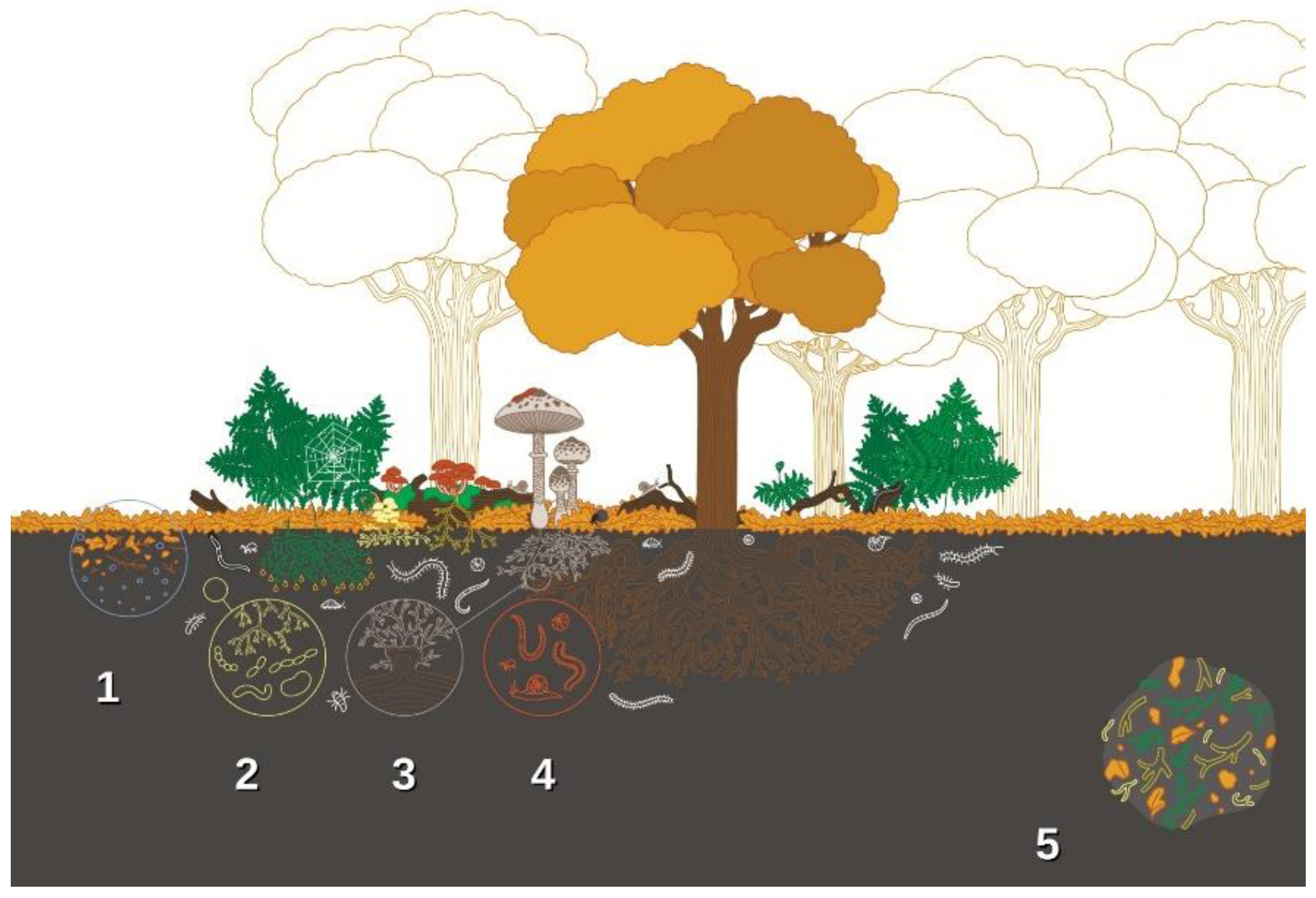 Preprints 182298 g004
