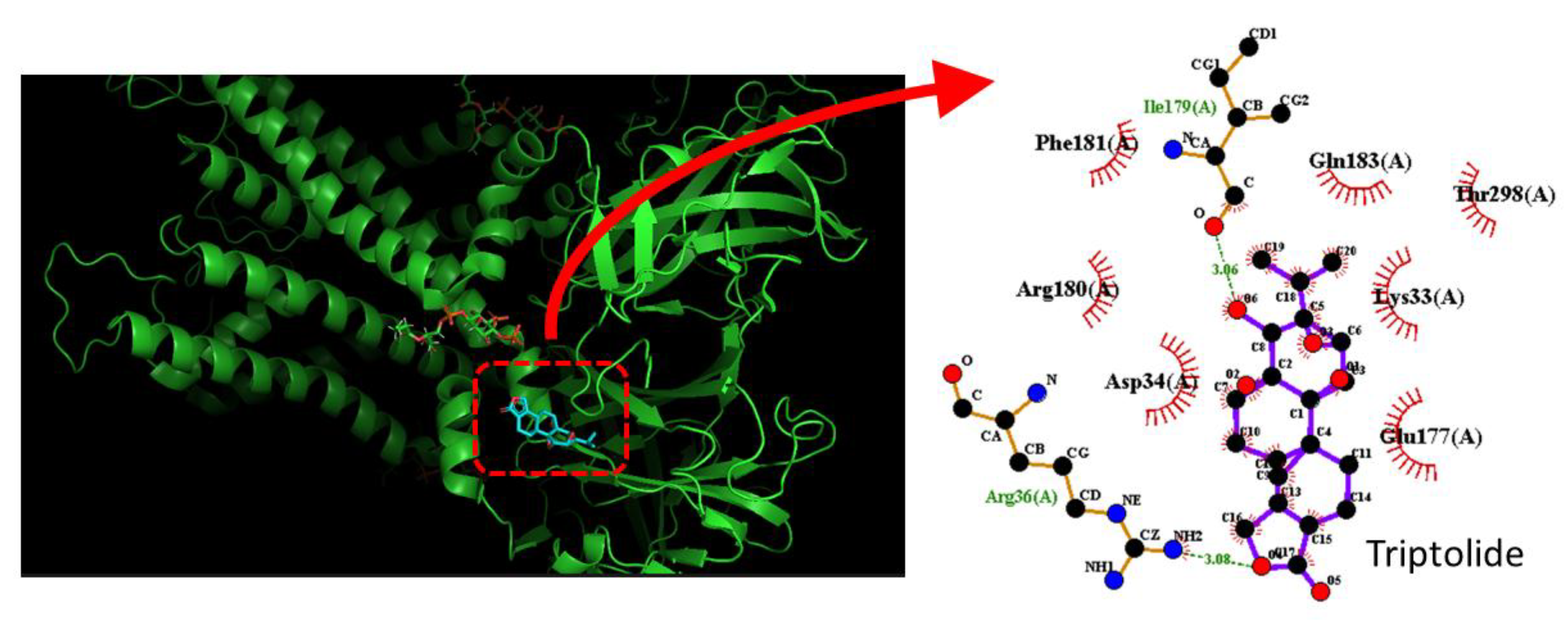 Preprints 201274 g005