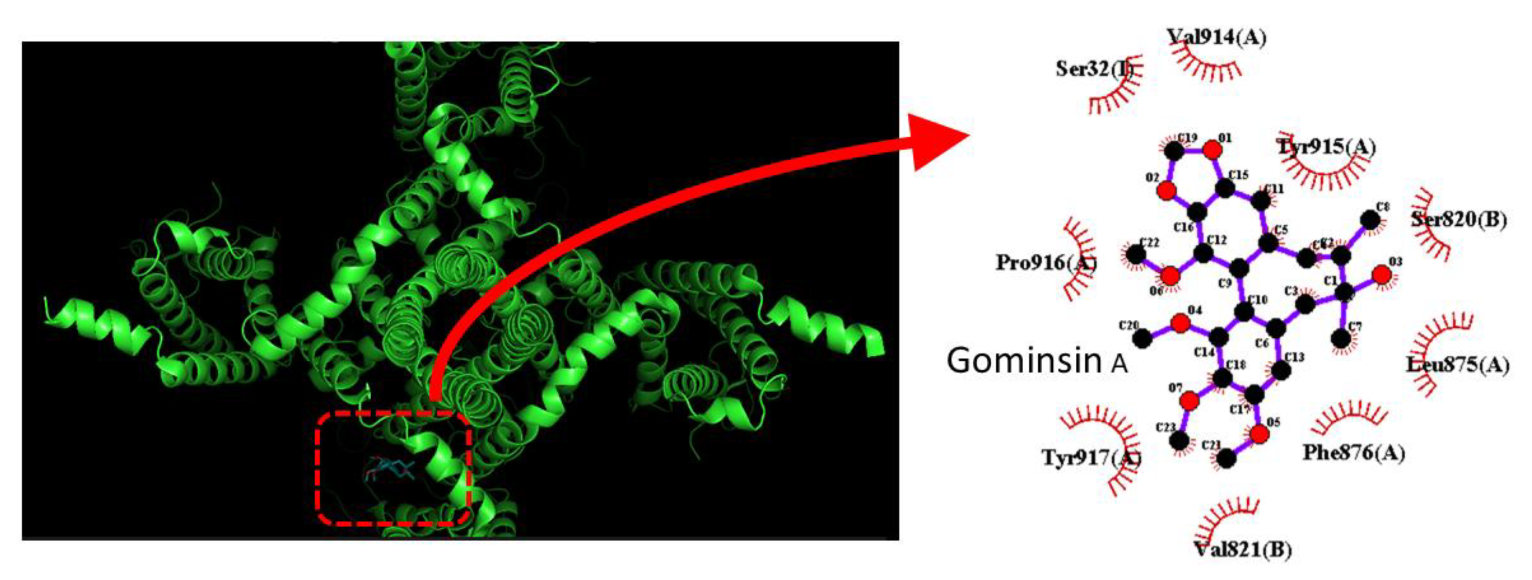 Preprints 201274 g006
