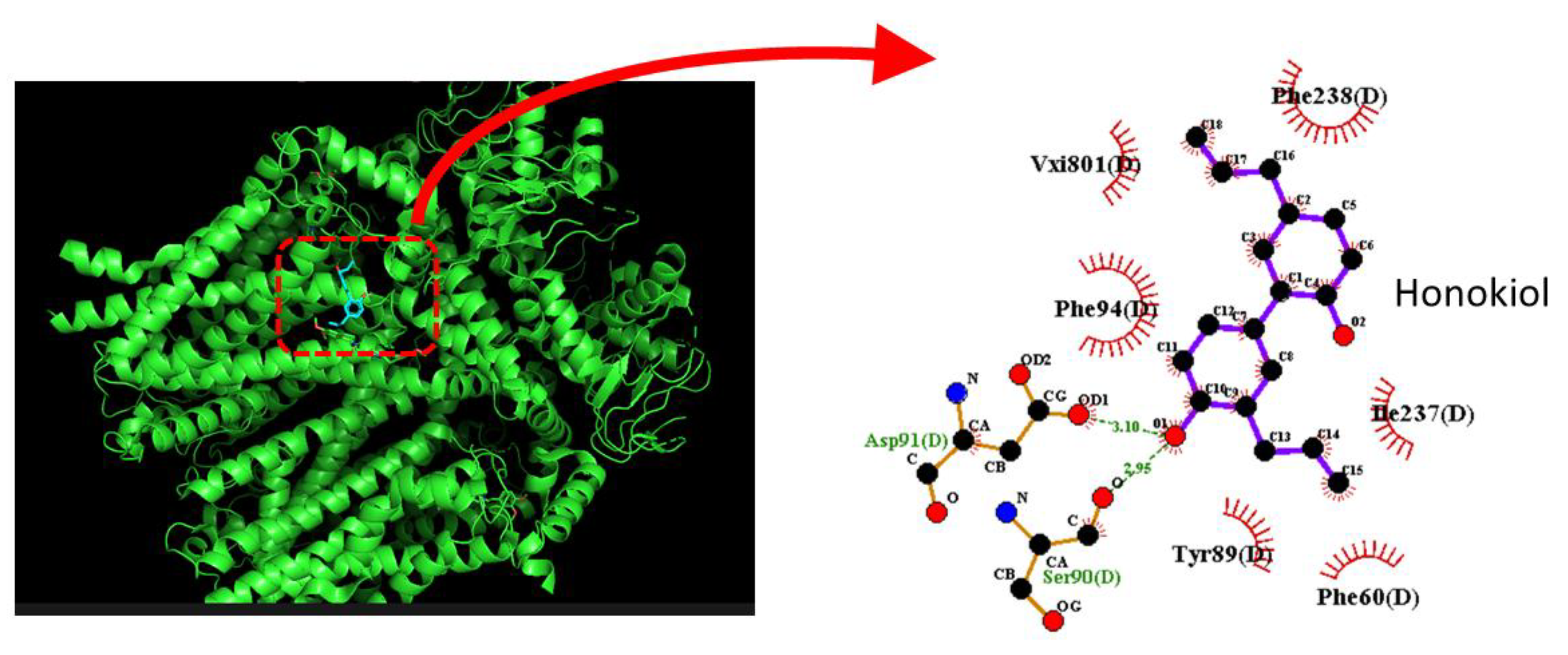 Preprints 201274 g008