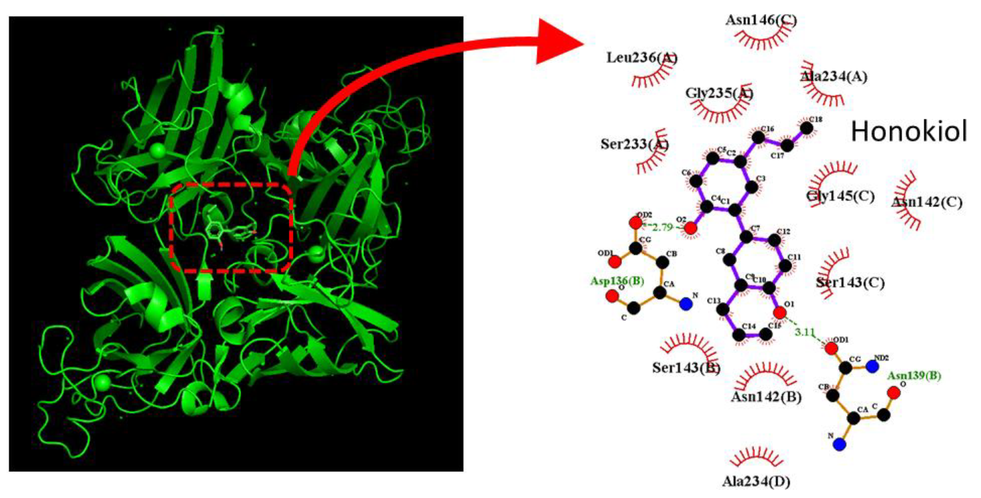 Preprints 201274 g009