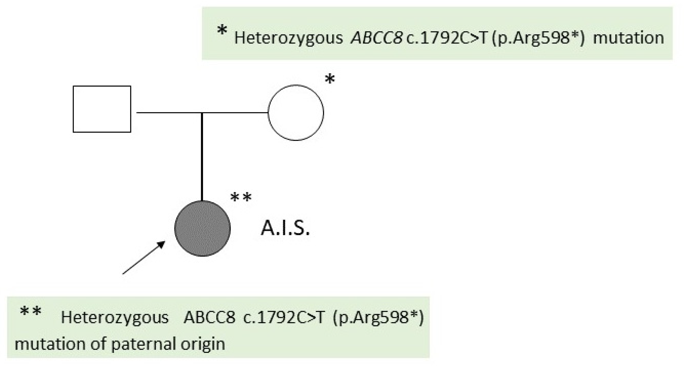 Preprints 102551 g003