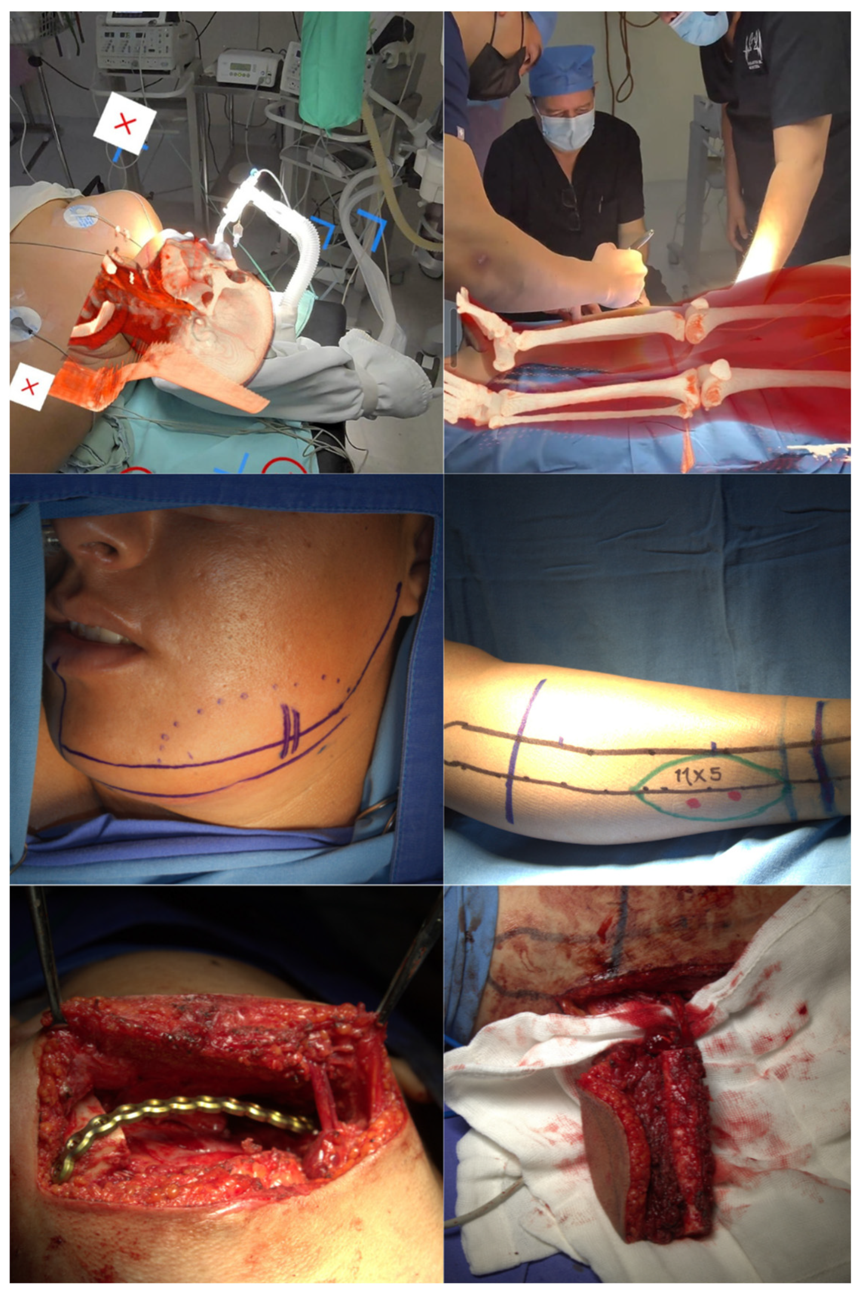 Preprints 170824 g001