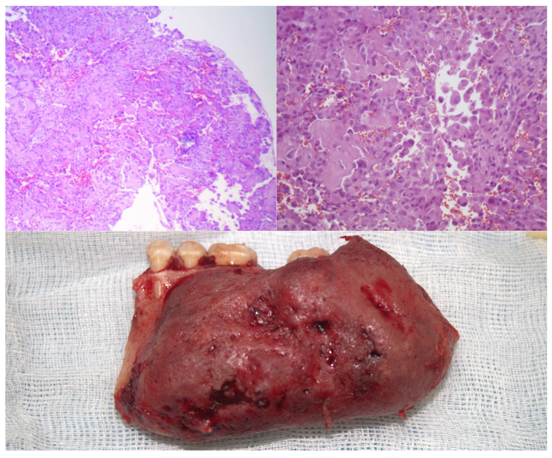 Preprints 170824 g002