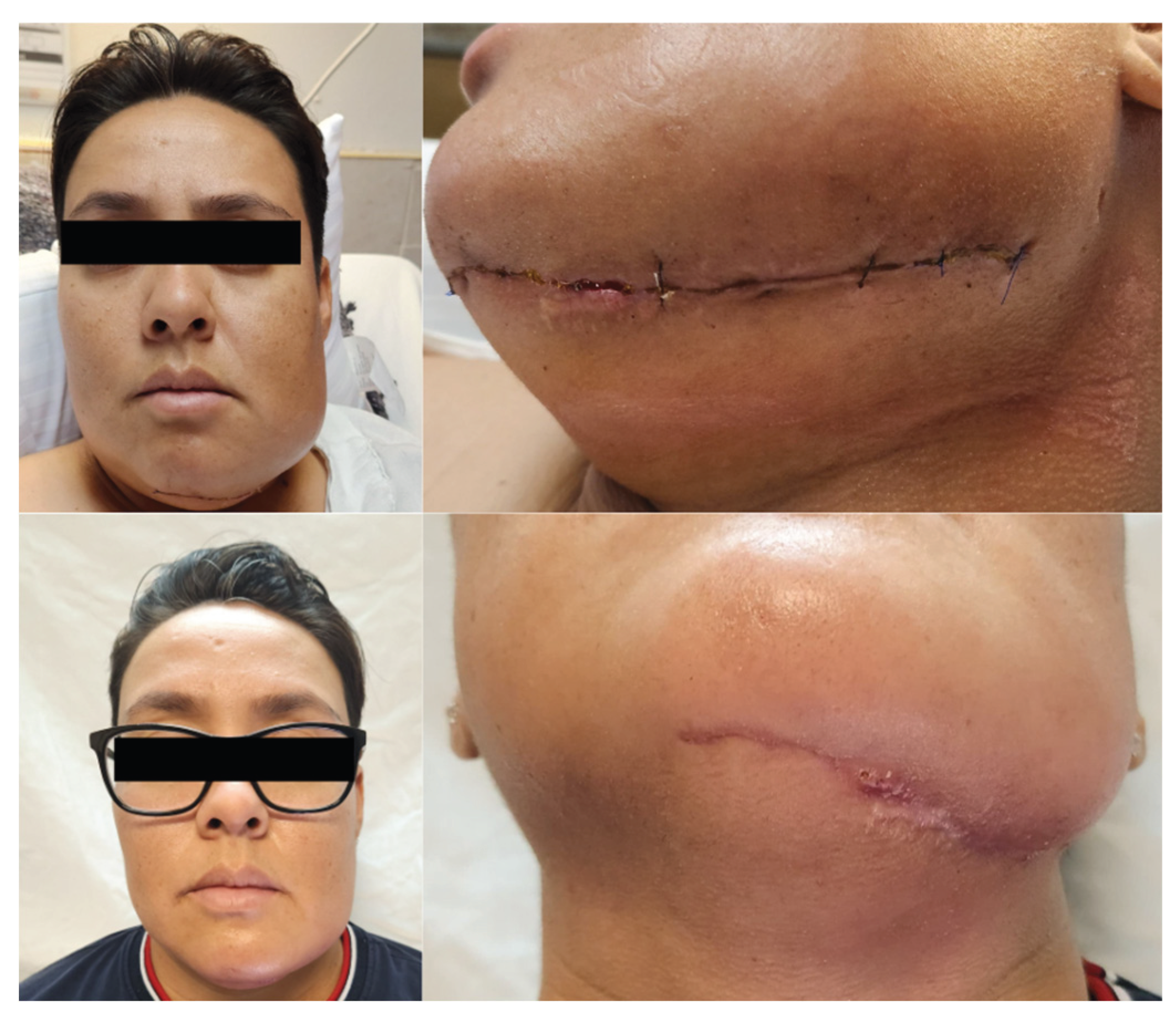 Preprints 170824 g004