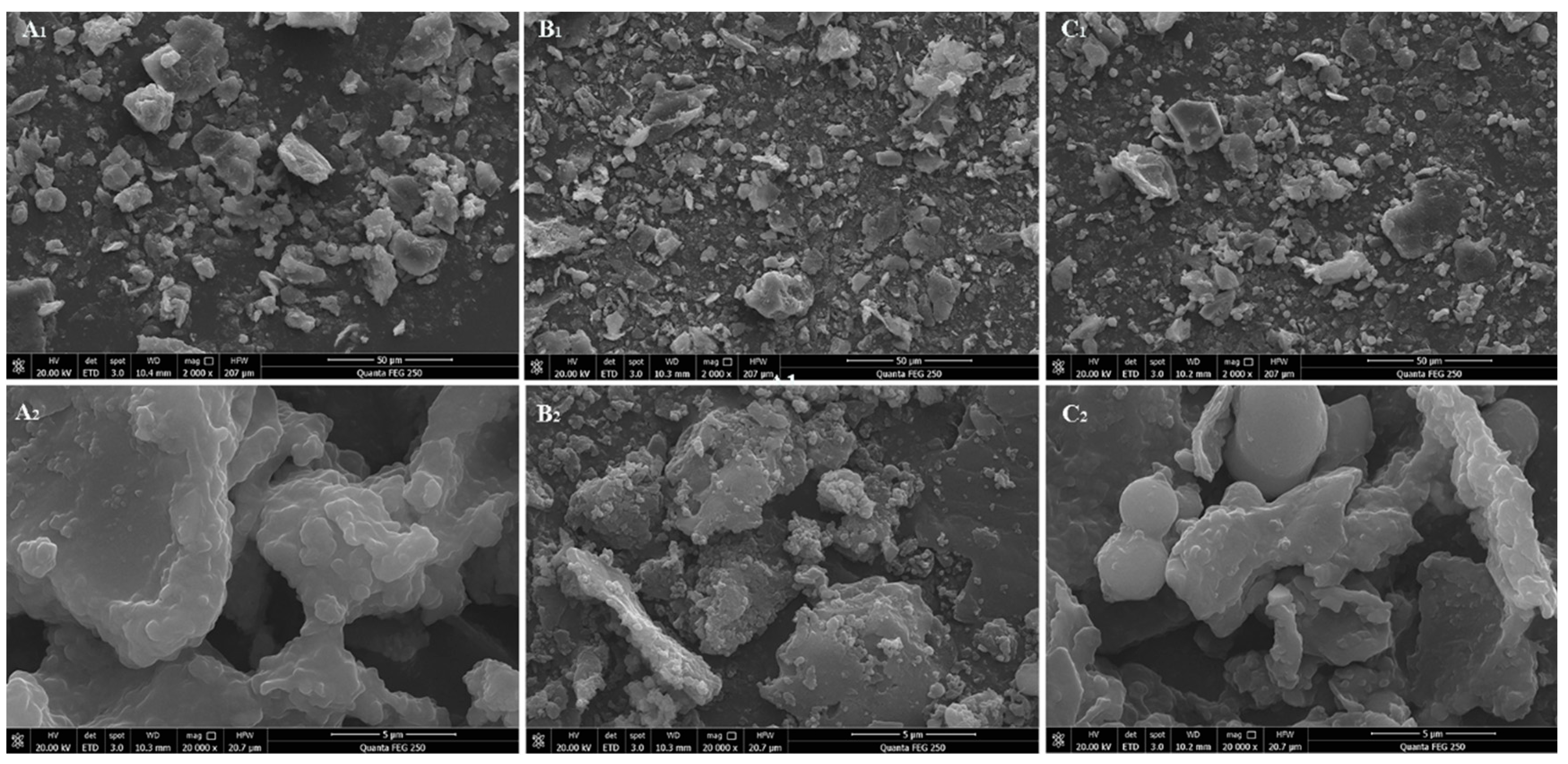 Preprints 74531 g001