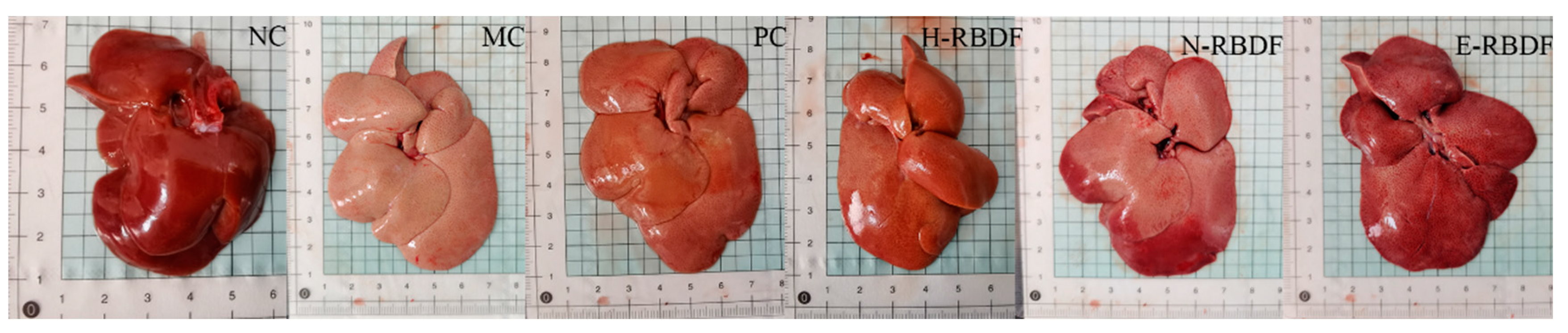 Preprints 74531 g008