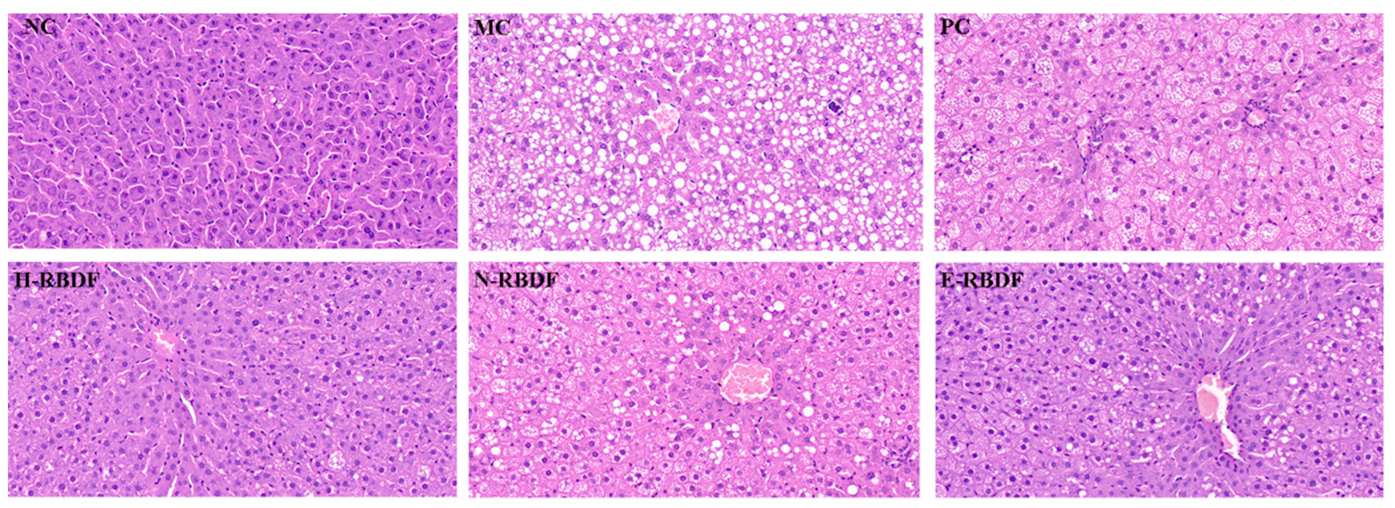Preprints 74531 g009