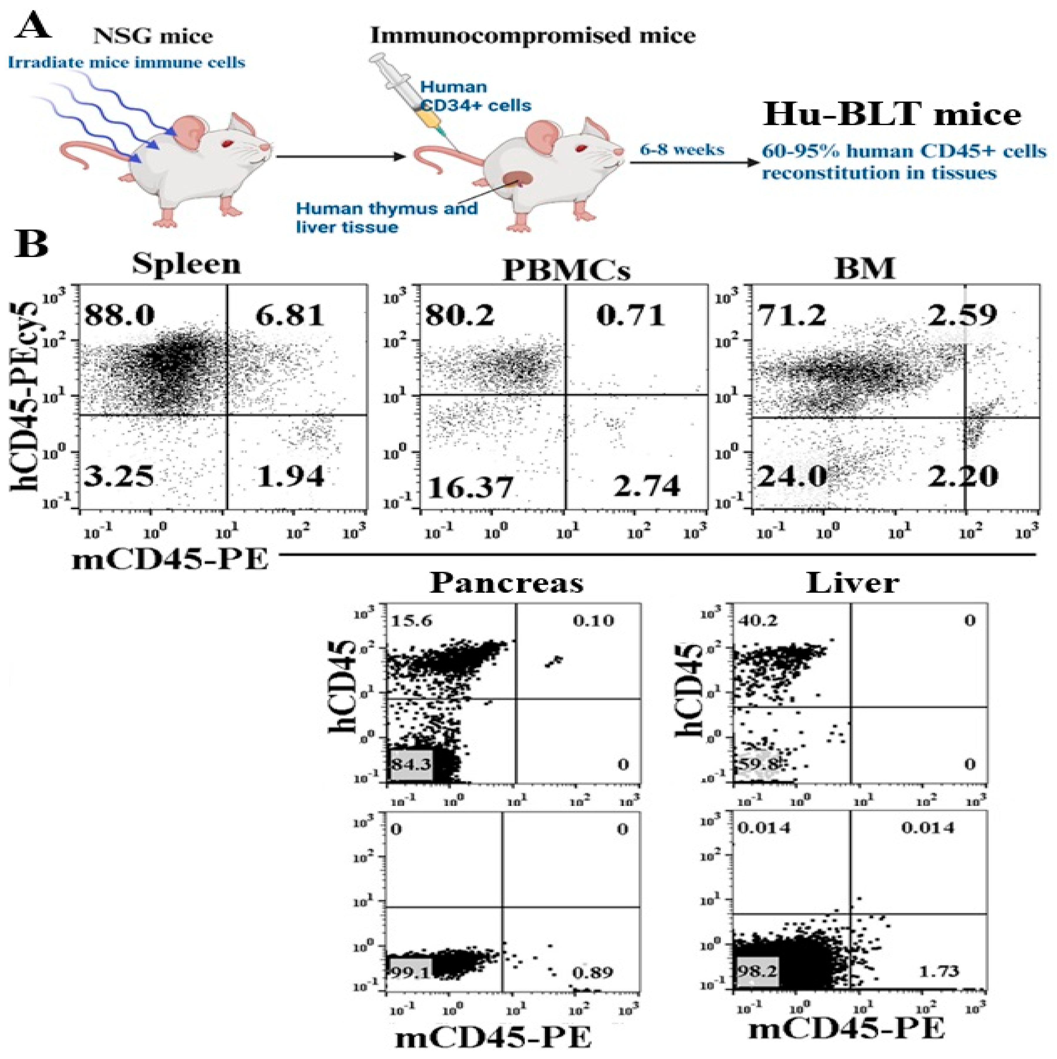 Preprints 170092 g001