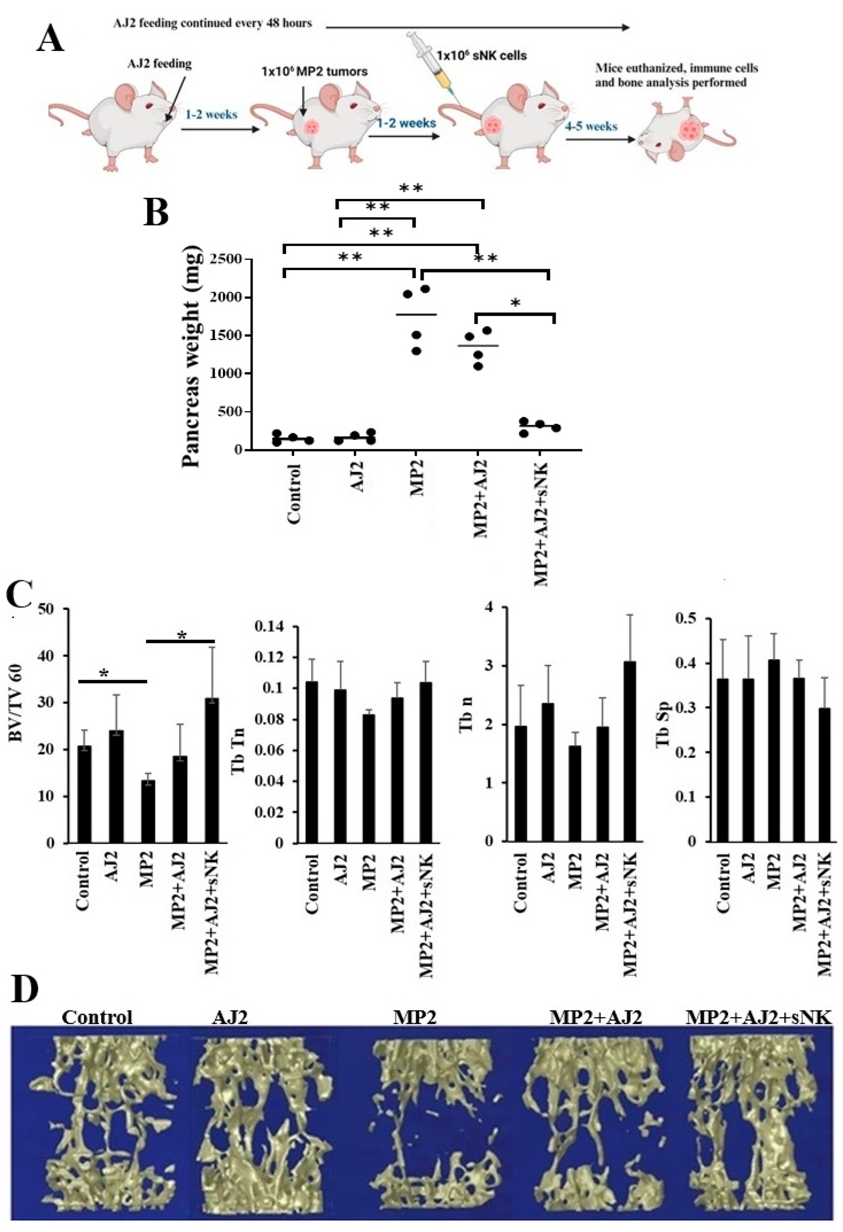 Preprints 170092 g004