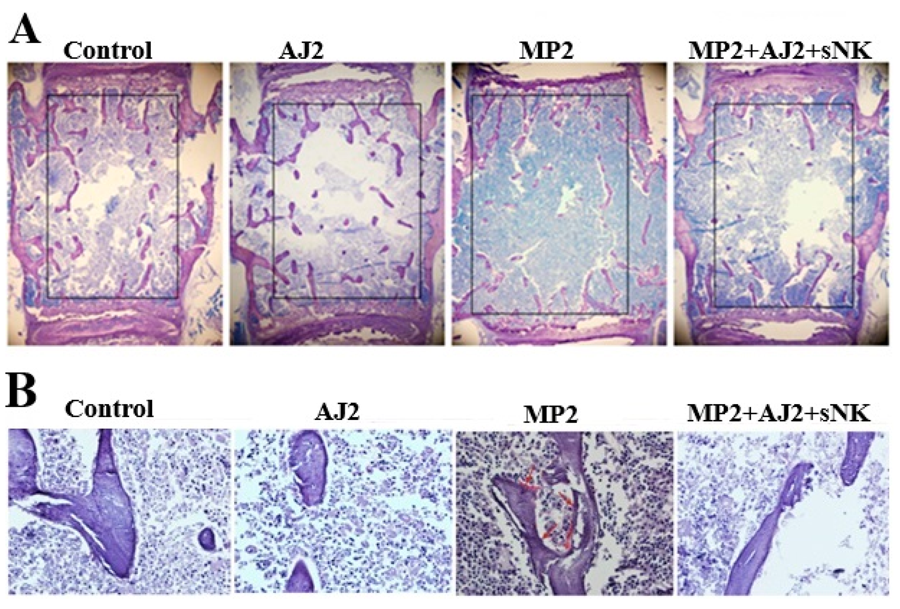 Preprints 170092 g005