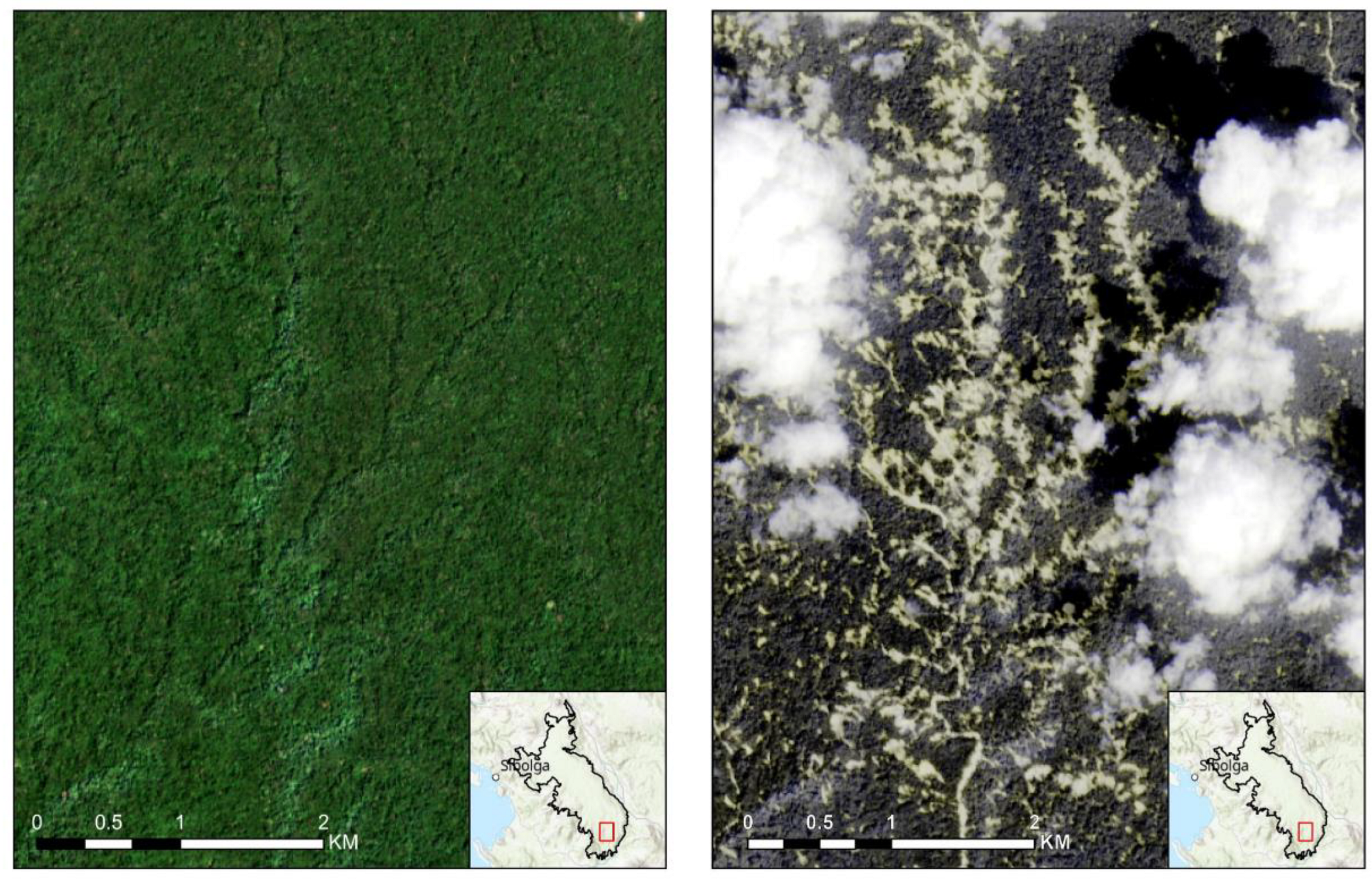 Preprints 189477 g002