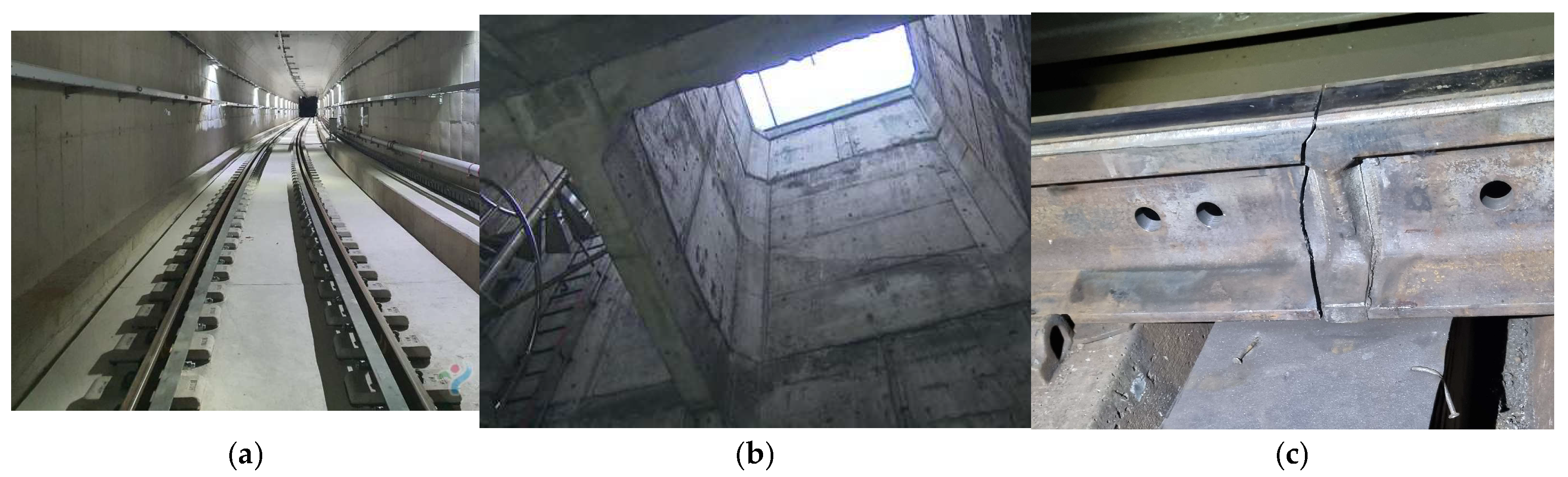 Preprints 151574 g001