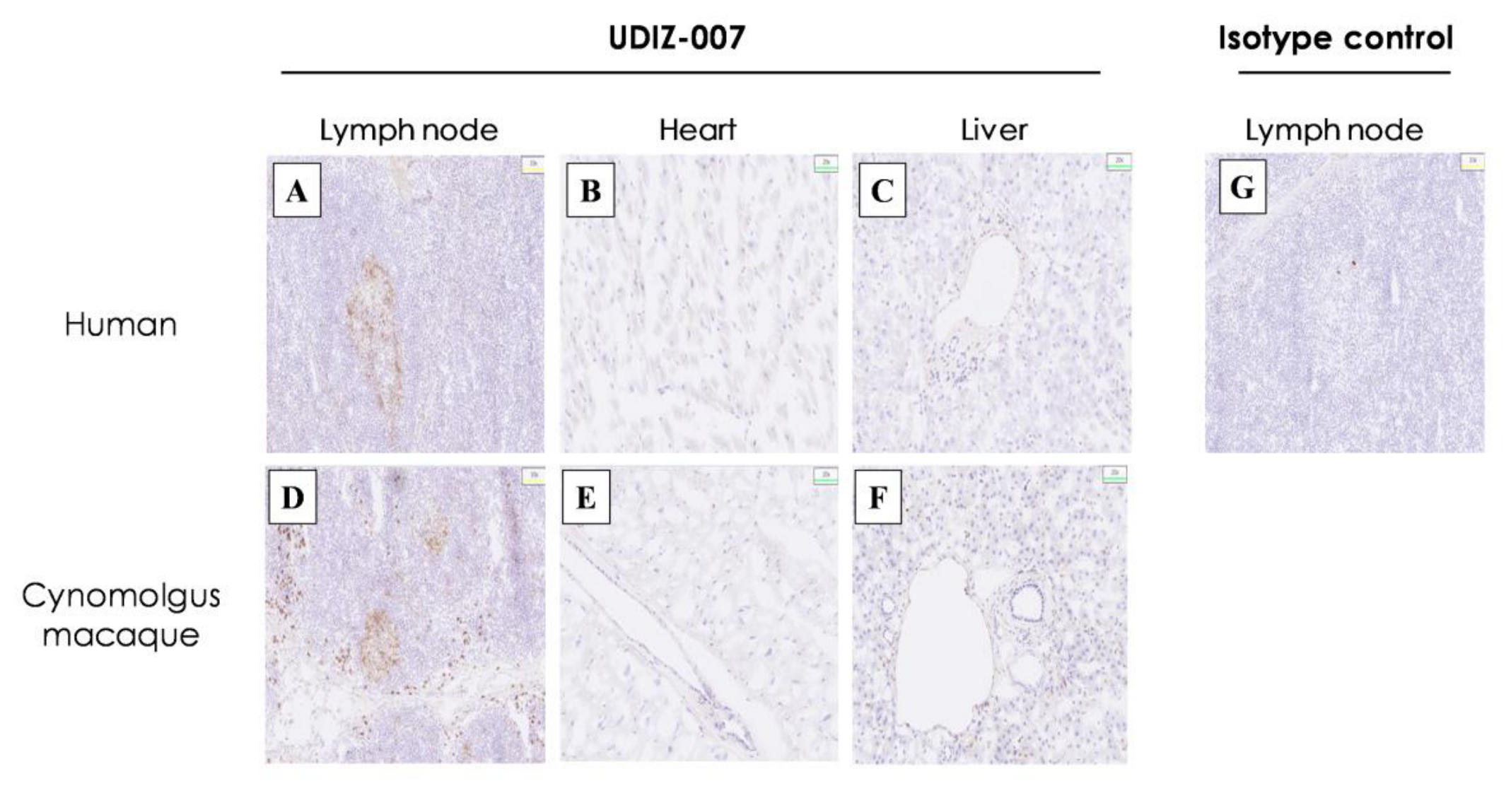 Preprints 223318 g006