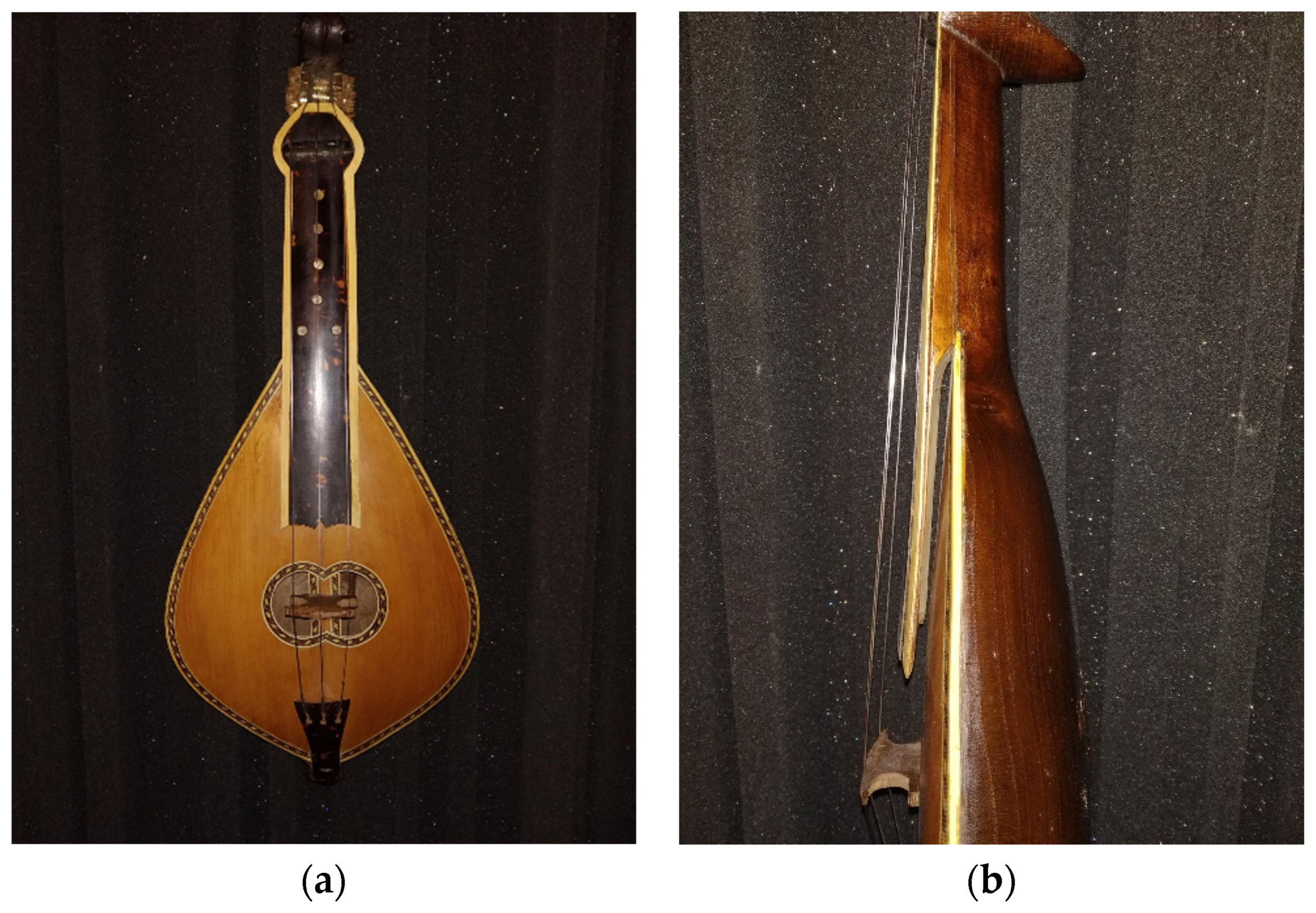 Preprints 85095 g001