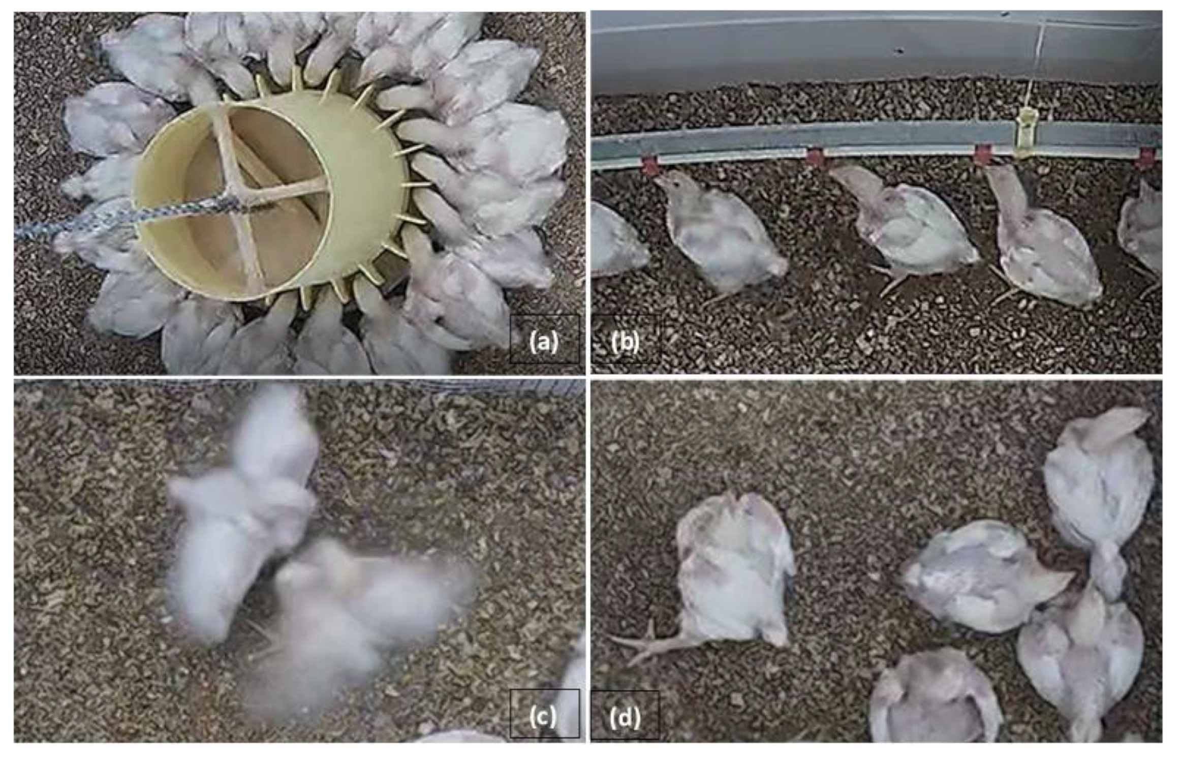 Preprints 106880 g002