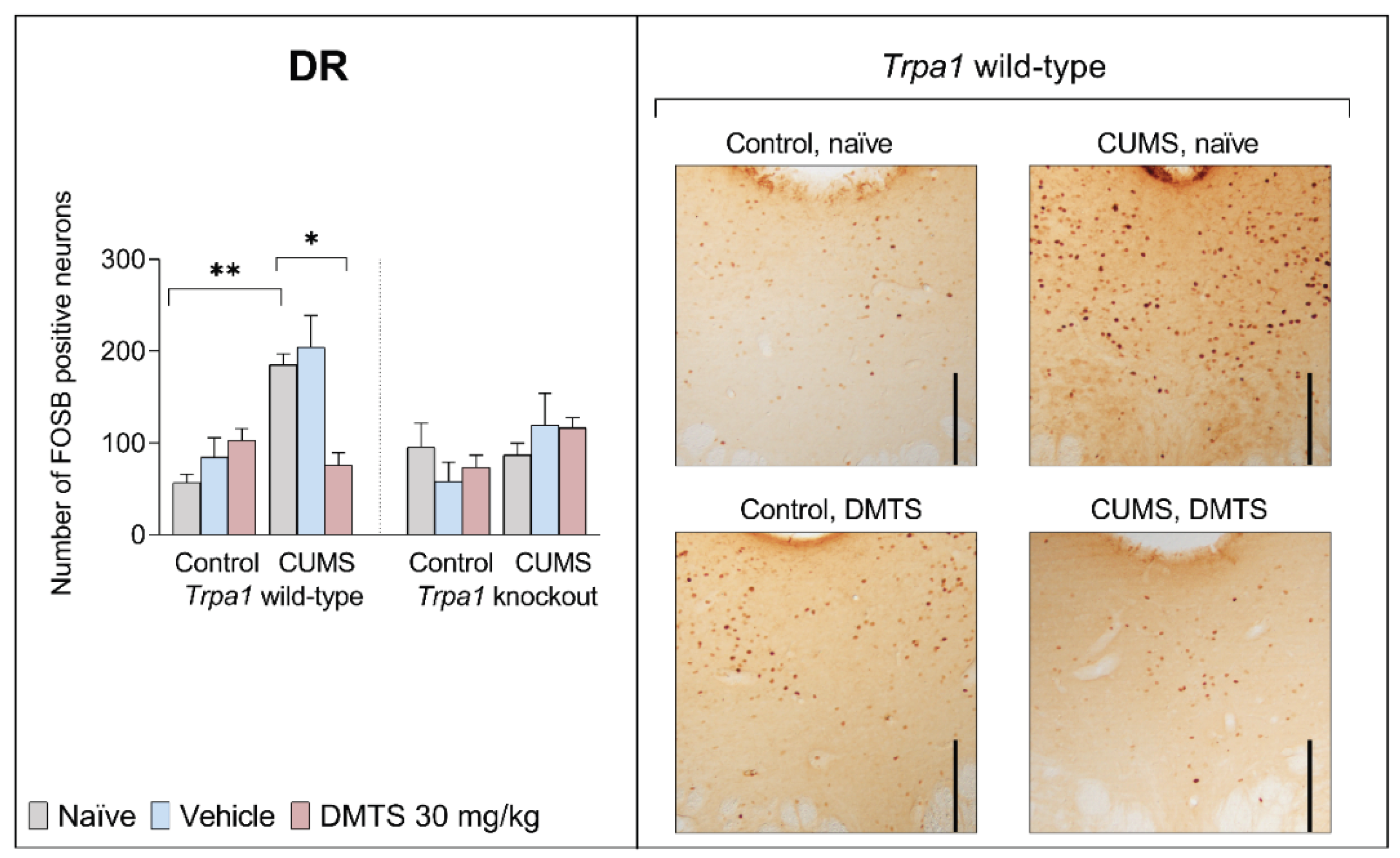 Preprints 159366 g006