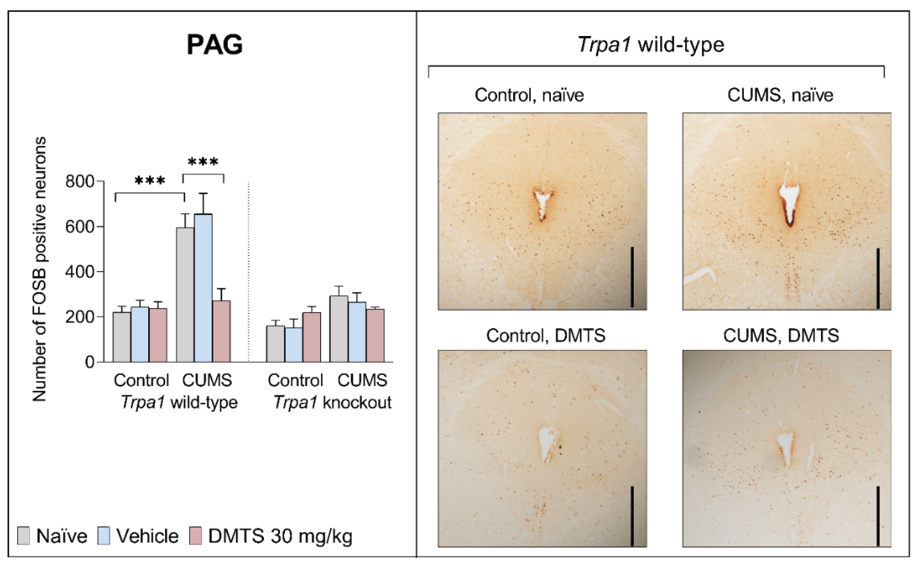 Preprints 159366 g007