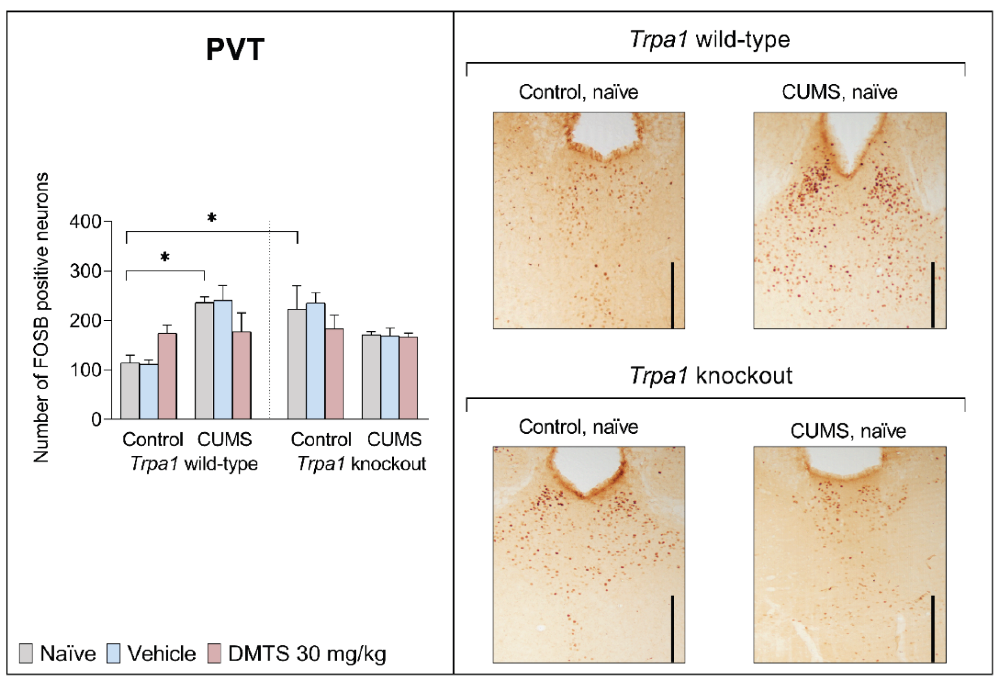 Preprints 159366 g008