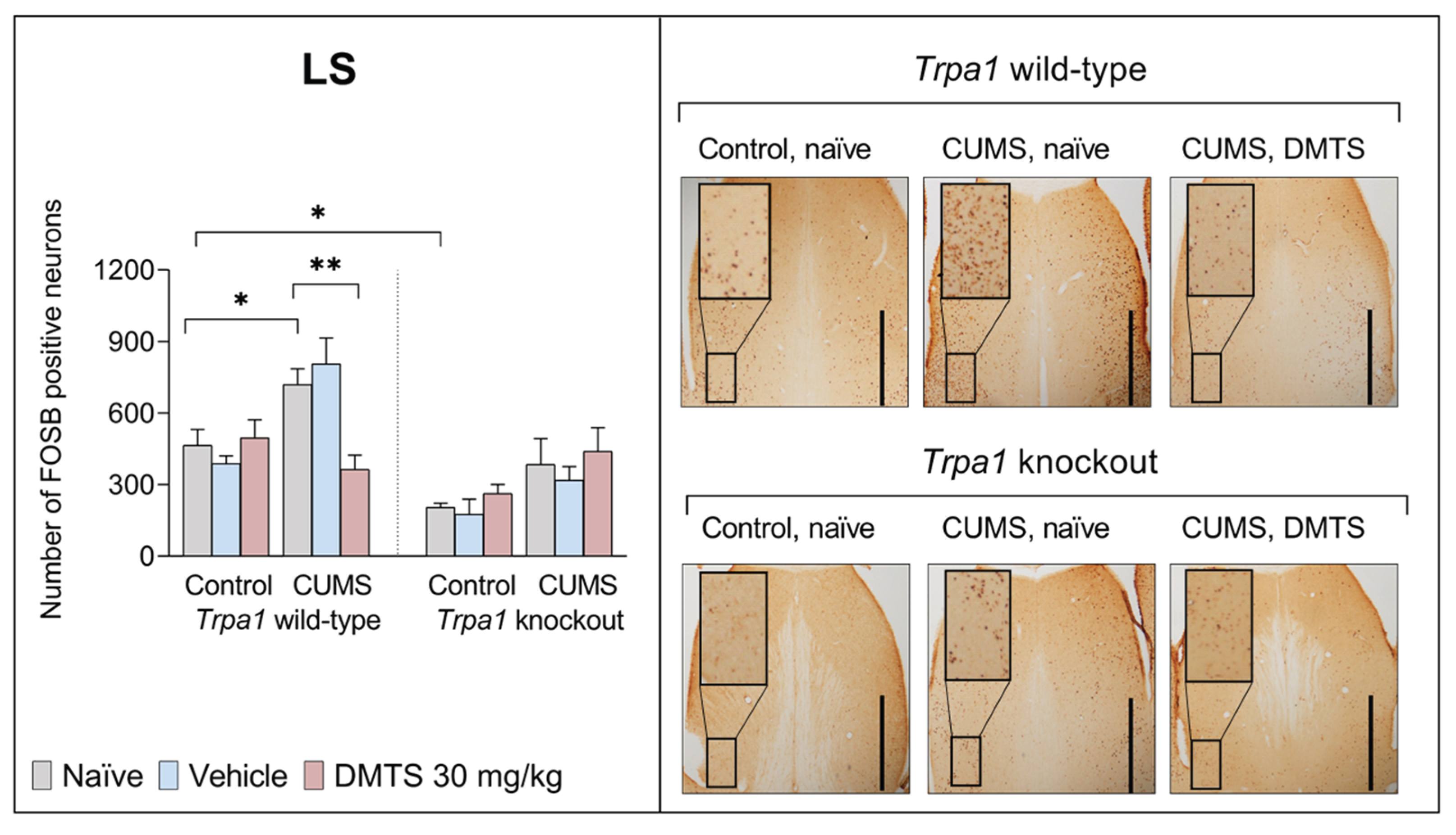 Preprints 159366 g009