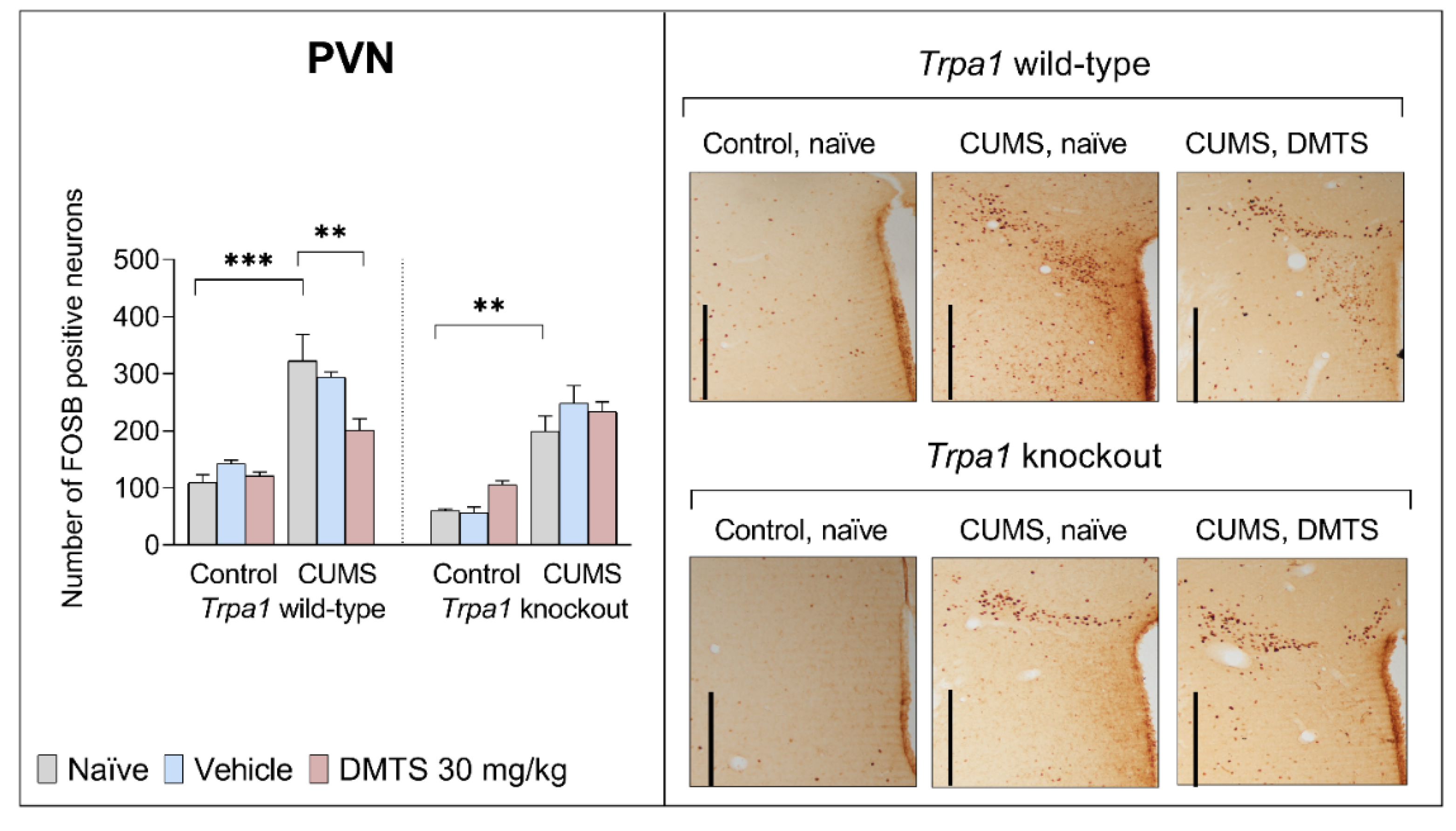 Preprints 159366 g010
