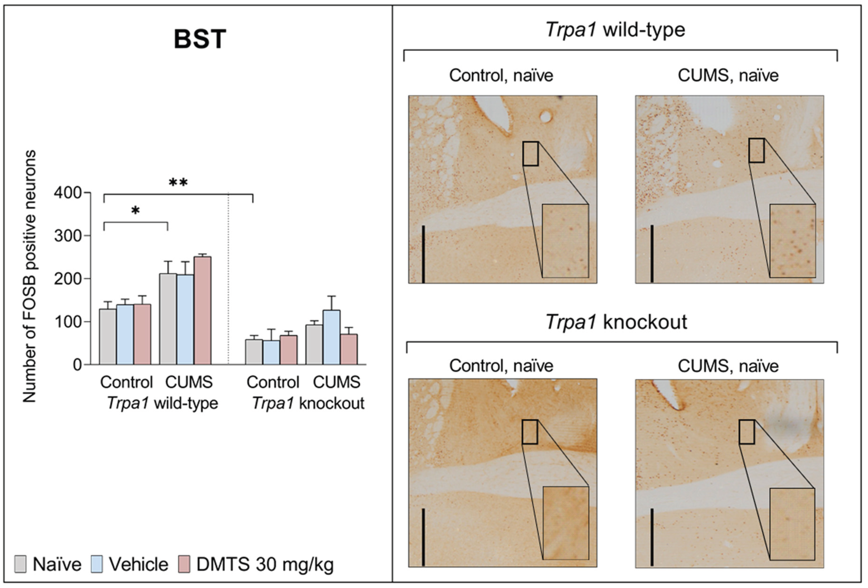 Preprints 159366 g011