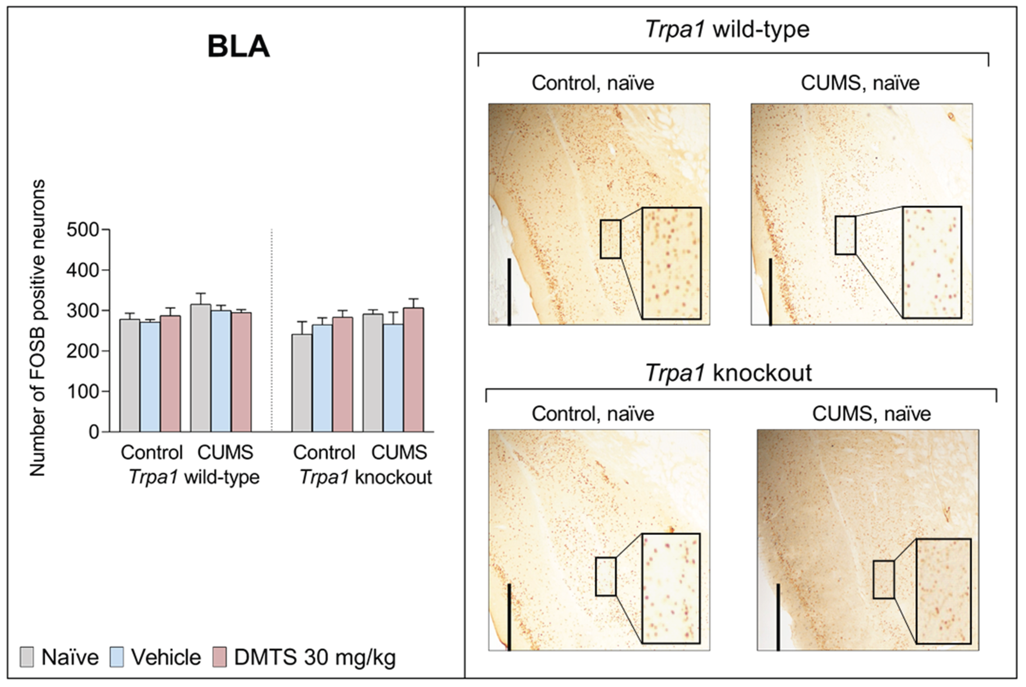 Preprints 159366 g012