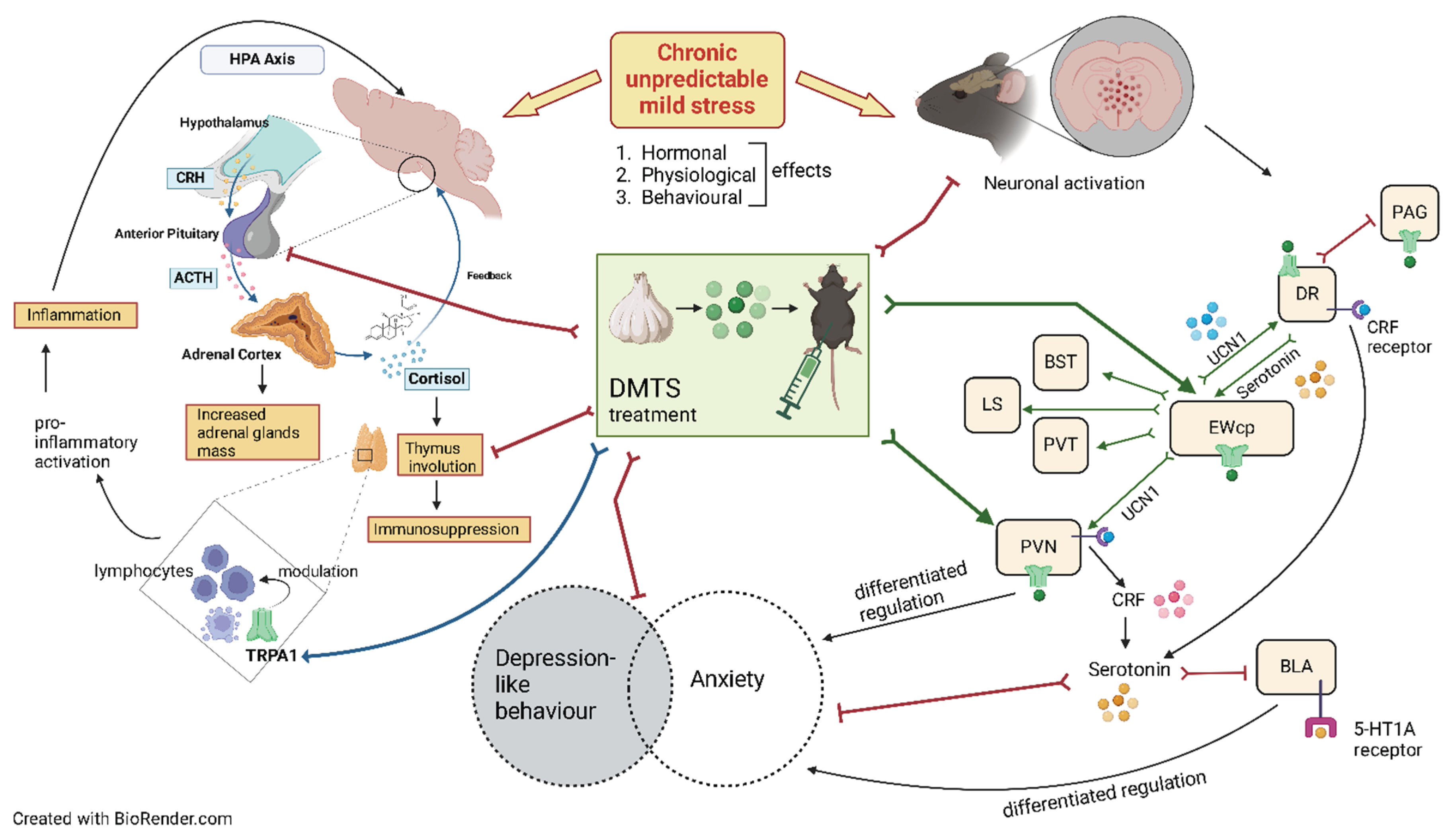 Preprints 159366 g013